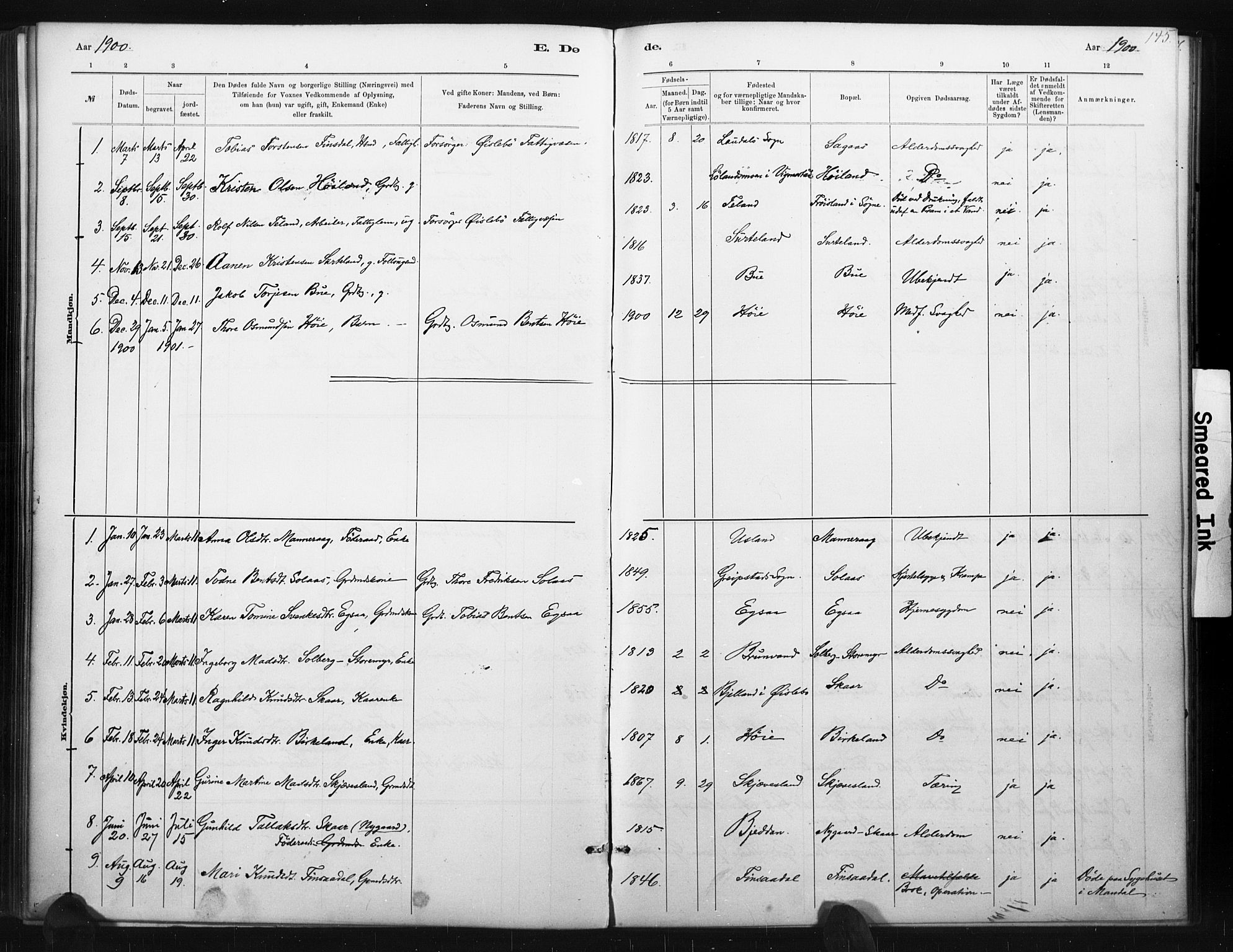 Holum sokneprestkontor, SAK/1111-0022/F/Fa/Fac/L0004: Parish register (official) no. A 4, 1884-1907, p. 145