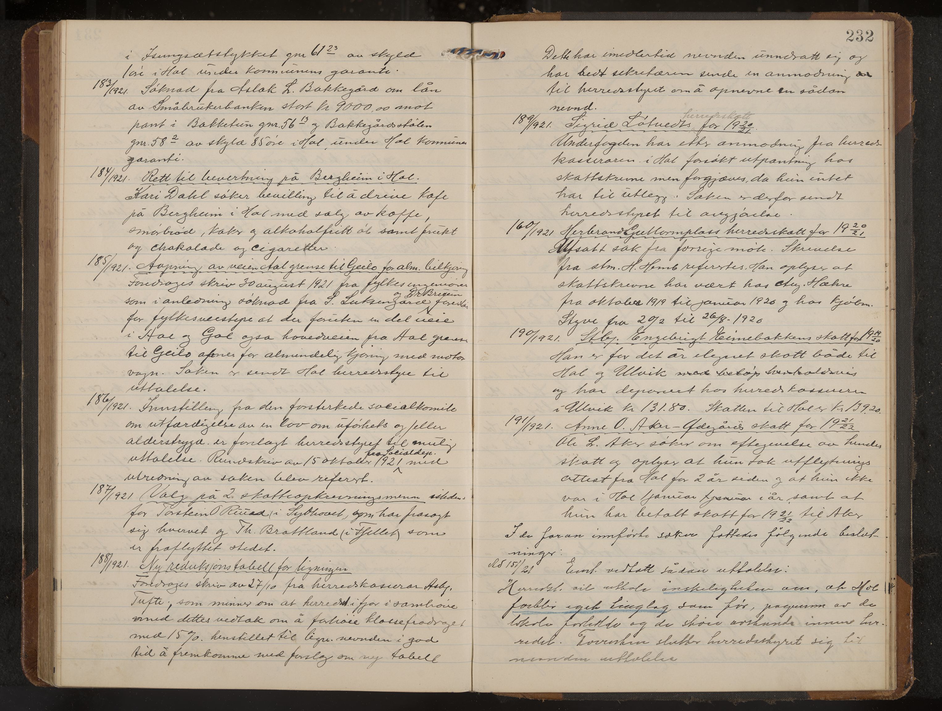 Hol formannskap og sentraladministrasjon, IKAK/0620021-1/A/L0006: Møtebok, 1916-1922, p. 232