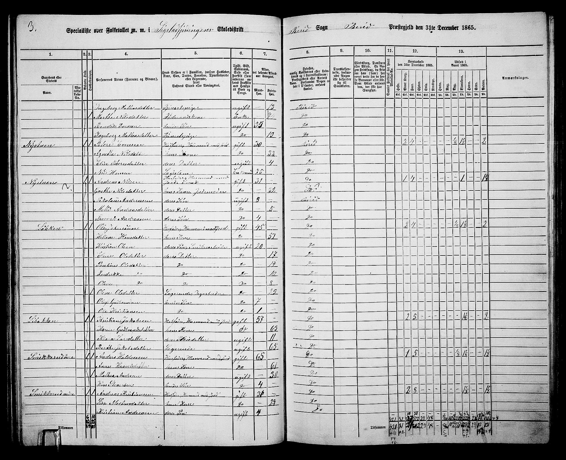 RA, 1865 census for Biri, 1865, p. 81