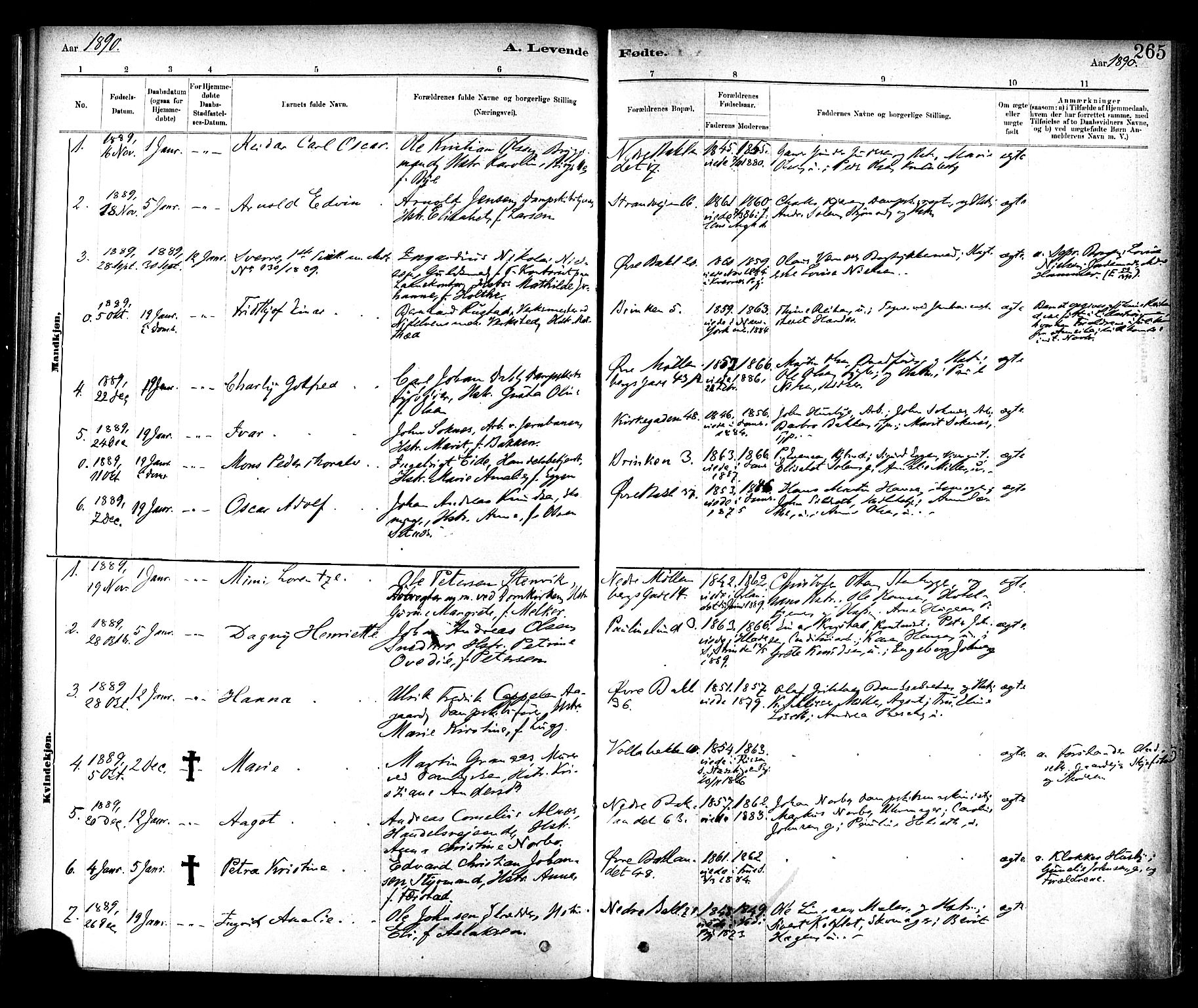 Ministerialprotokoller, klokkerbøker og fødselsregistre - Sør-Trøndelag, SAT/A-1456/604/L0188: Parish register (official) no. 604A09, 1878-1892, p. 265