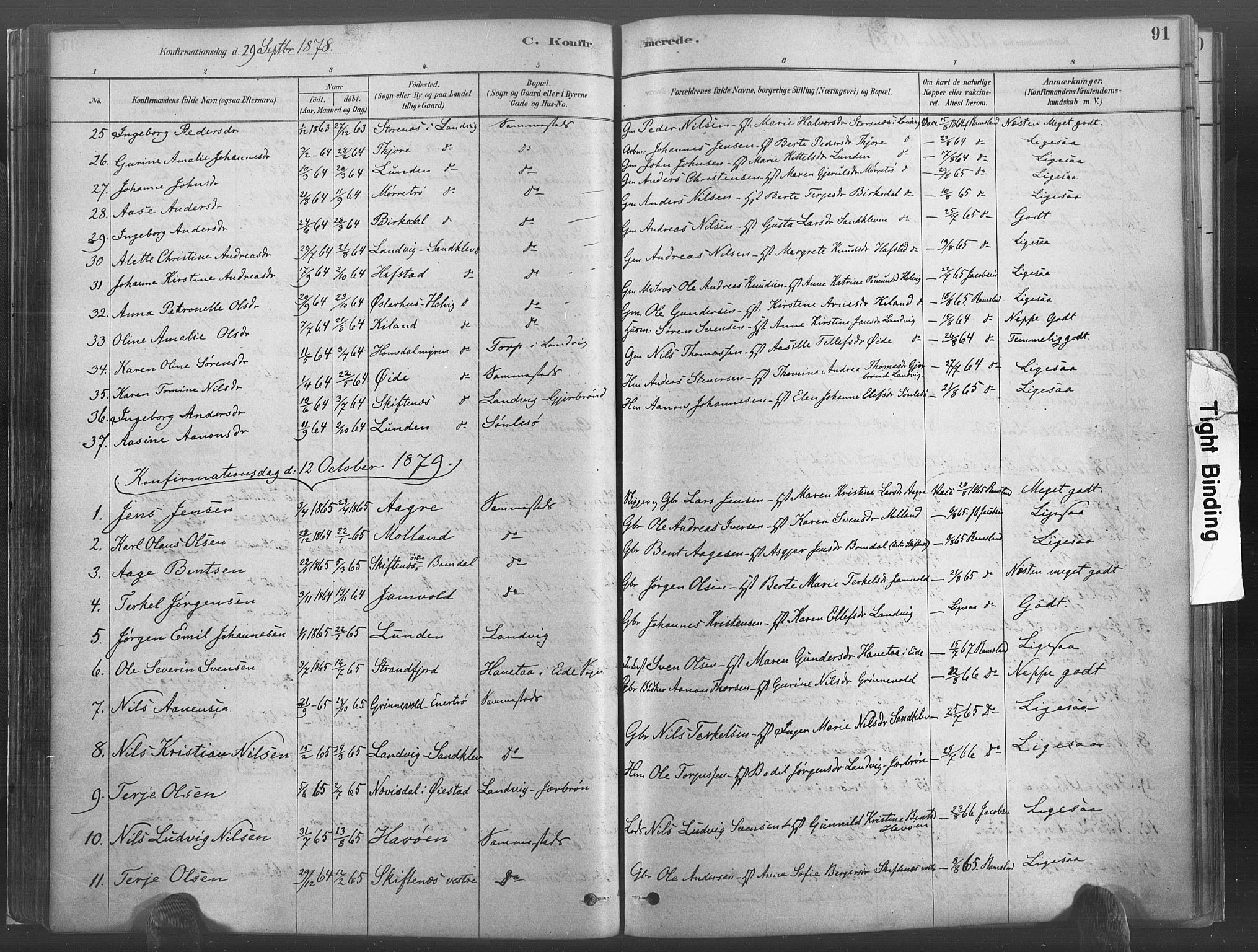Hommedal sokneprestkontor, AV/SAK-1111-0023/F/Fa/Fab/L0006: Parish register (official) no. A 6, 1878-1897, p. 91