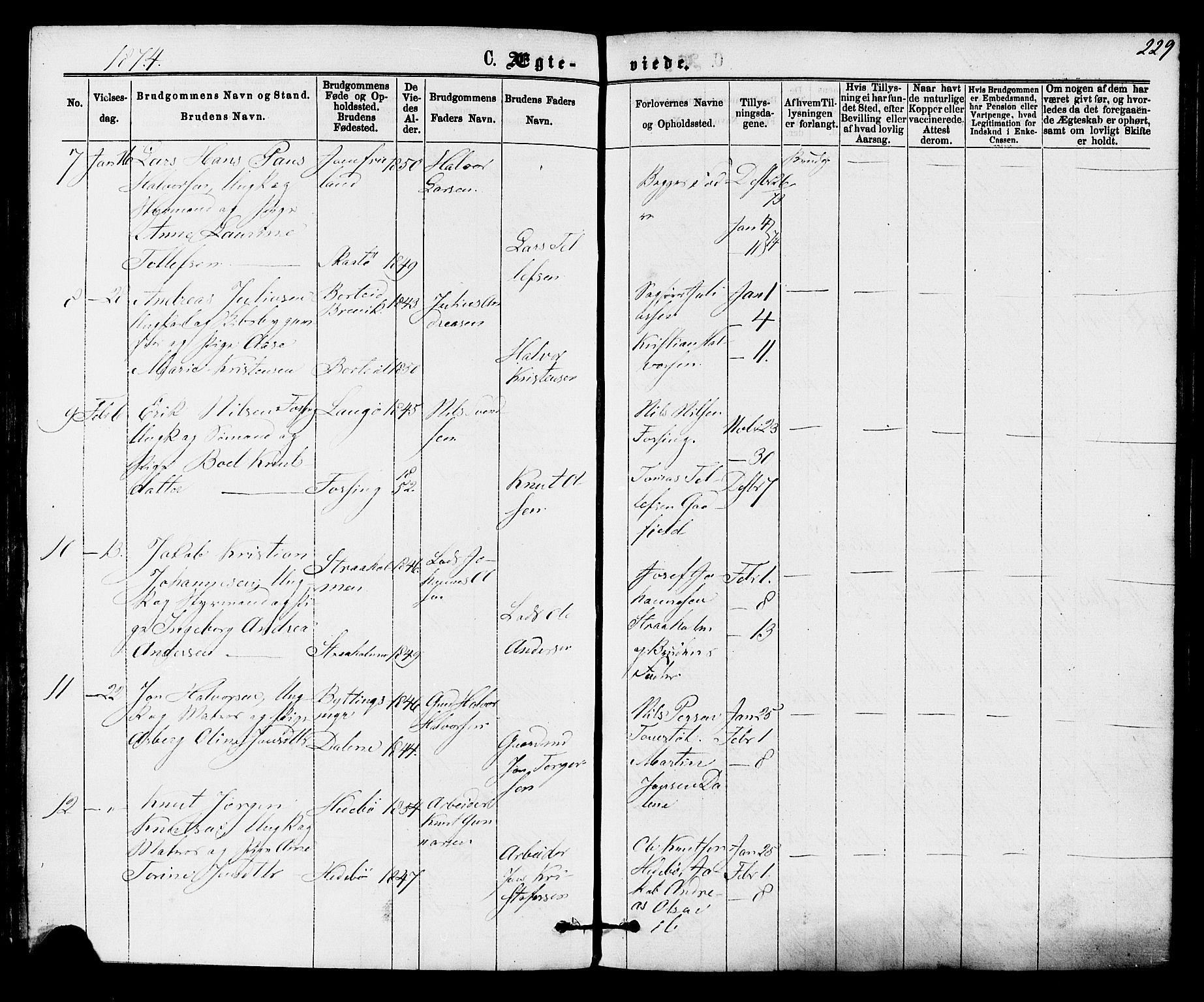 Skåtøy kirkebøker, SAKO/A-304/F/Fa/L0001: Parish register (official) no. I 1, 1874-1883, p. 229