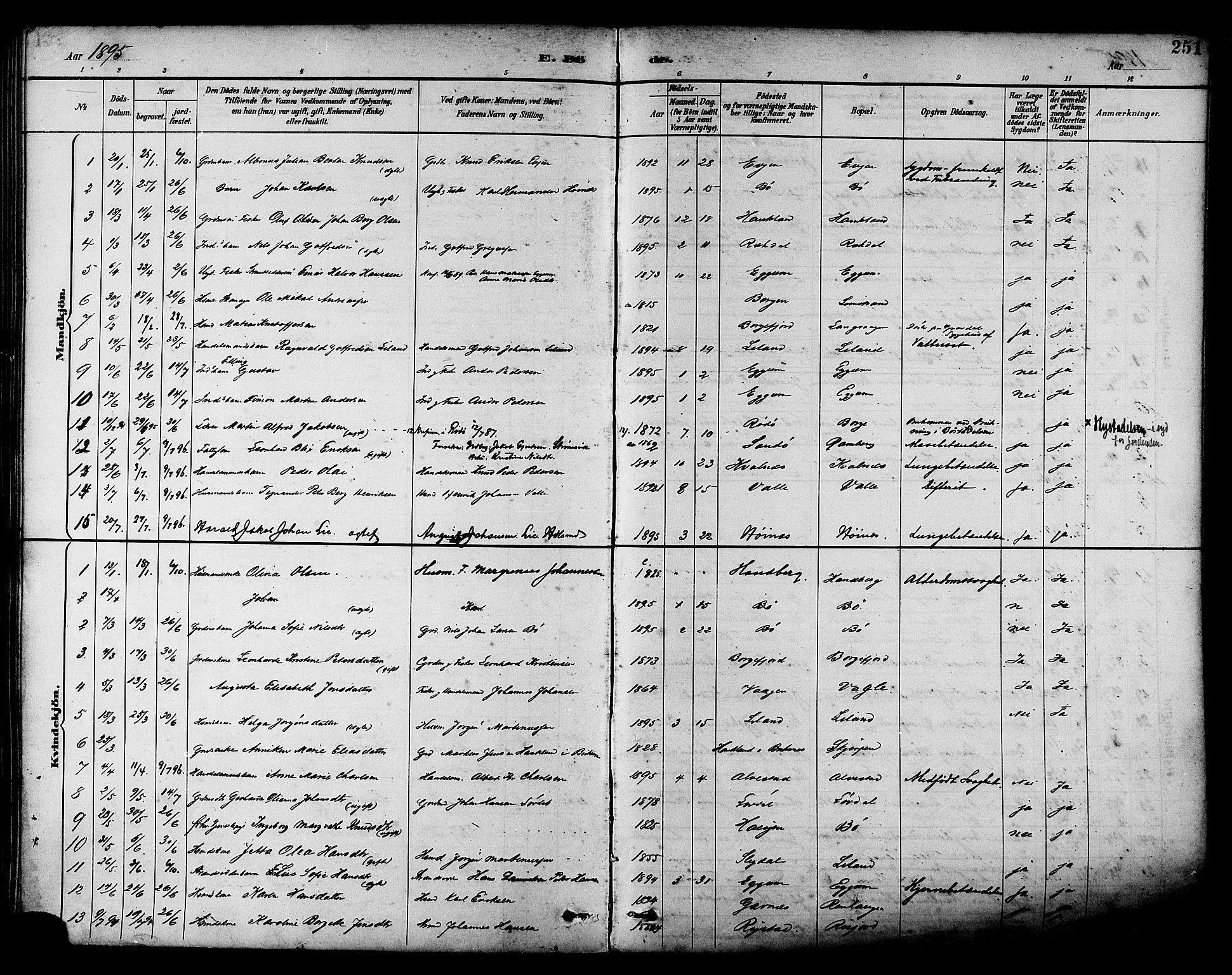 Ministerialprotokoller, klokkerbøker og fødselsregistre - Nordland, SAT/A-1459/880/L1133: Parish register (official) no. 880A07, 1888-1898, p. 251