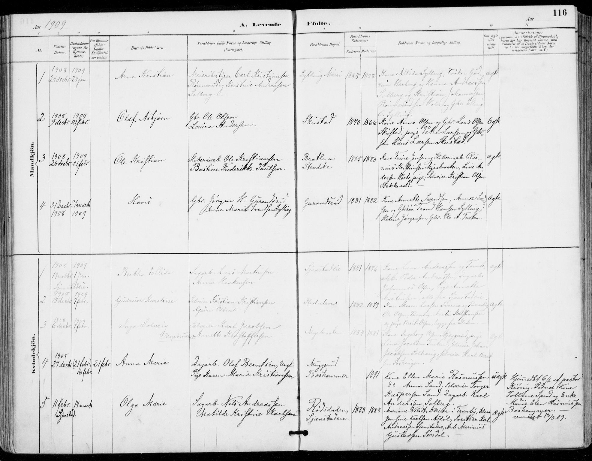 Sylling kirkebøker, SAKO/A-247/F/Fa/L0001: Parish register (official) no. 1, 1883-1910, p. 116