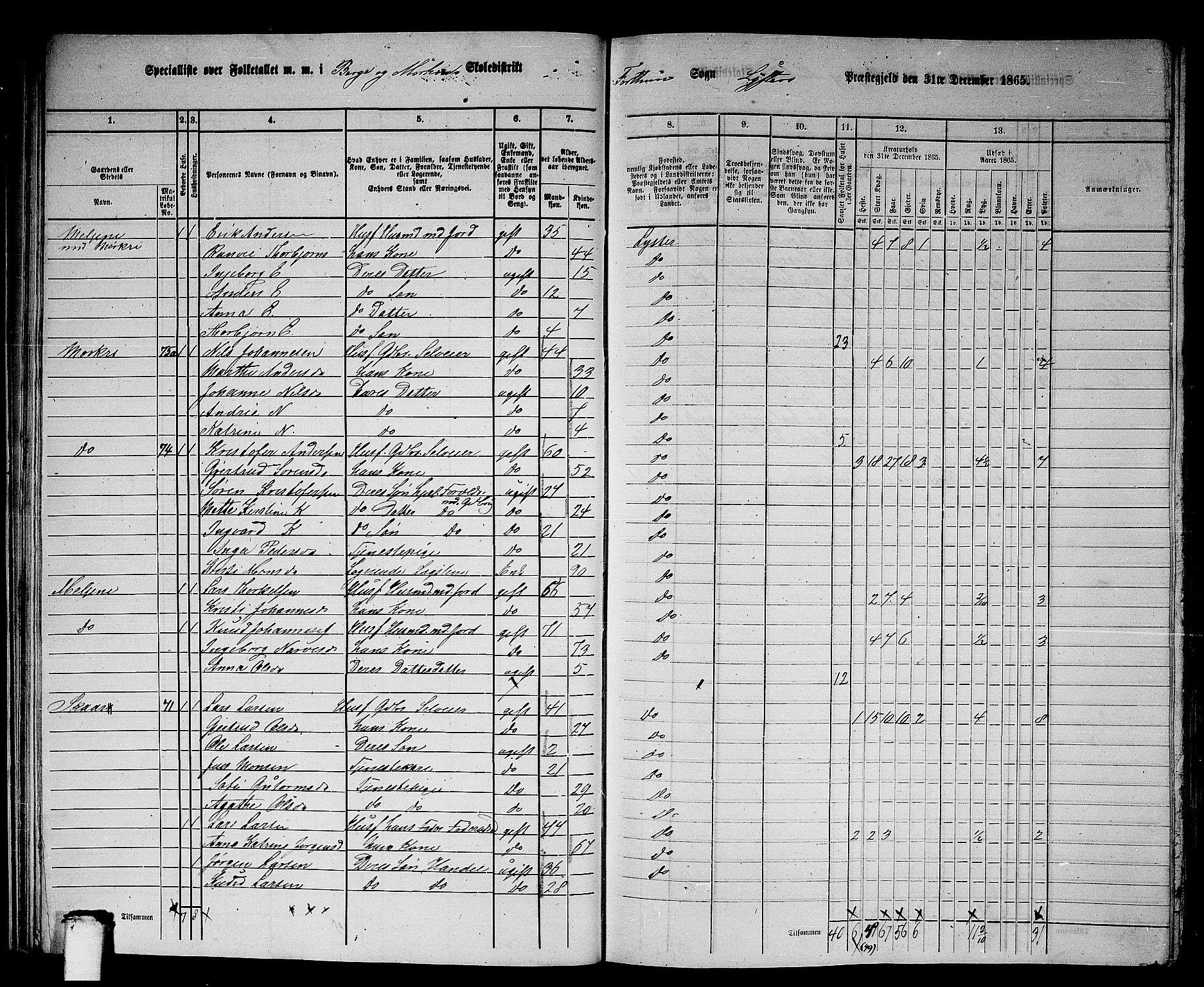 RA, 1865 census for Luster, 1865, p. 27