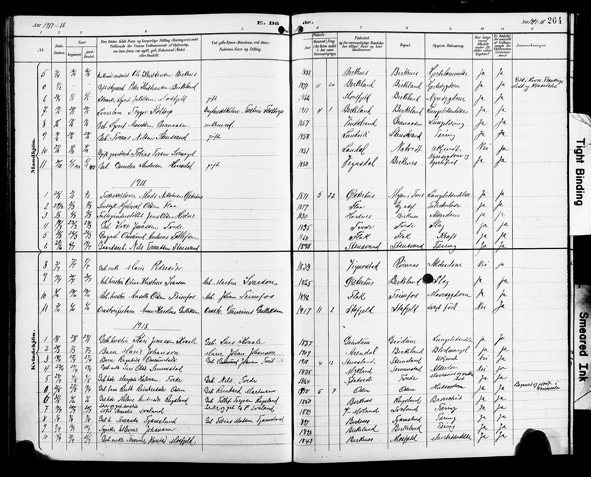 Birkenes sokneprestkontor, SAK/1111-0004/F/Fb/L0004: Parish register (copy) no. B 4, 1893-1930, p. 264