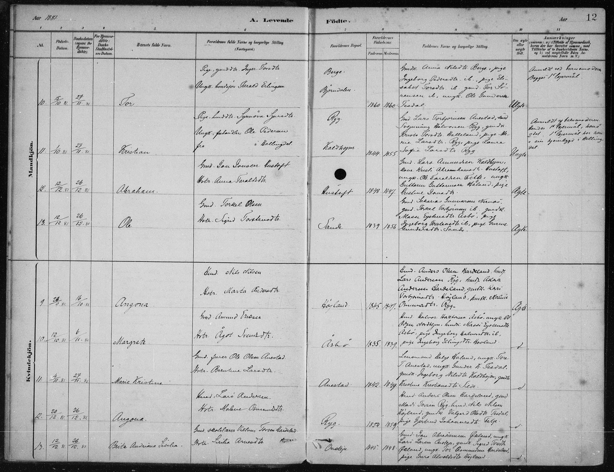 Etne sokneprestembete, SAB/A-75001/H/Haa: Parish register (official) no. D  1, 1879-1919, p. 12