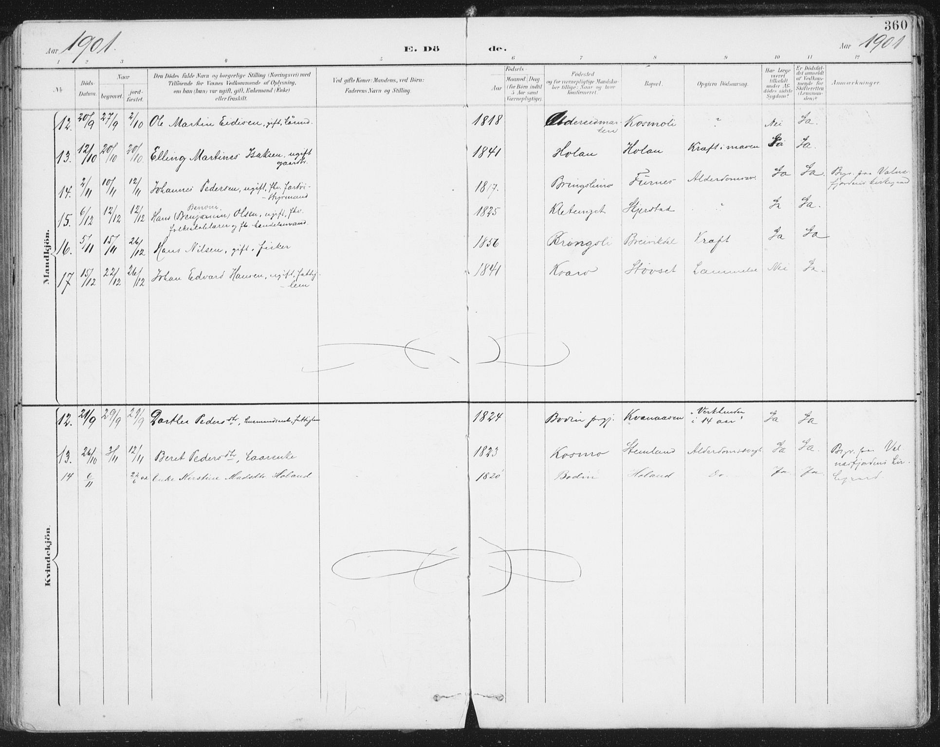 Ministerialprotokoller, klokkerbøker og fødselsregistre - Nordland, AV/SAT-A-1459/852/L0741: Parish register (official) no. 852A11, 1894-1917, p. 360