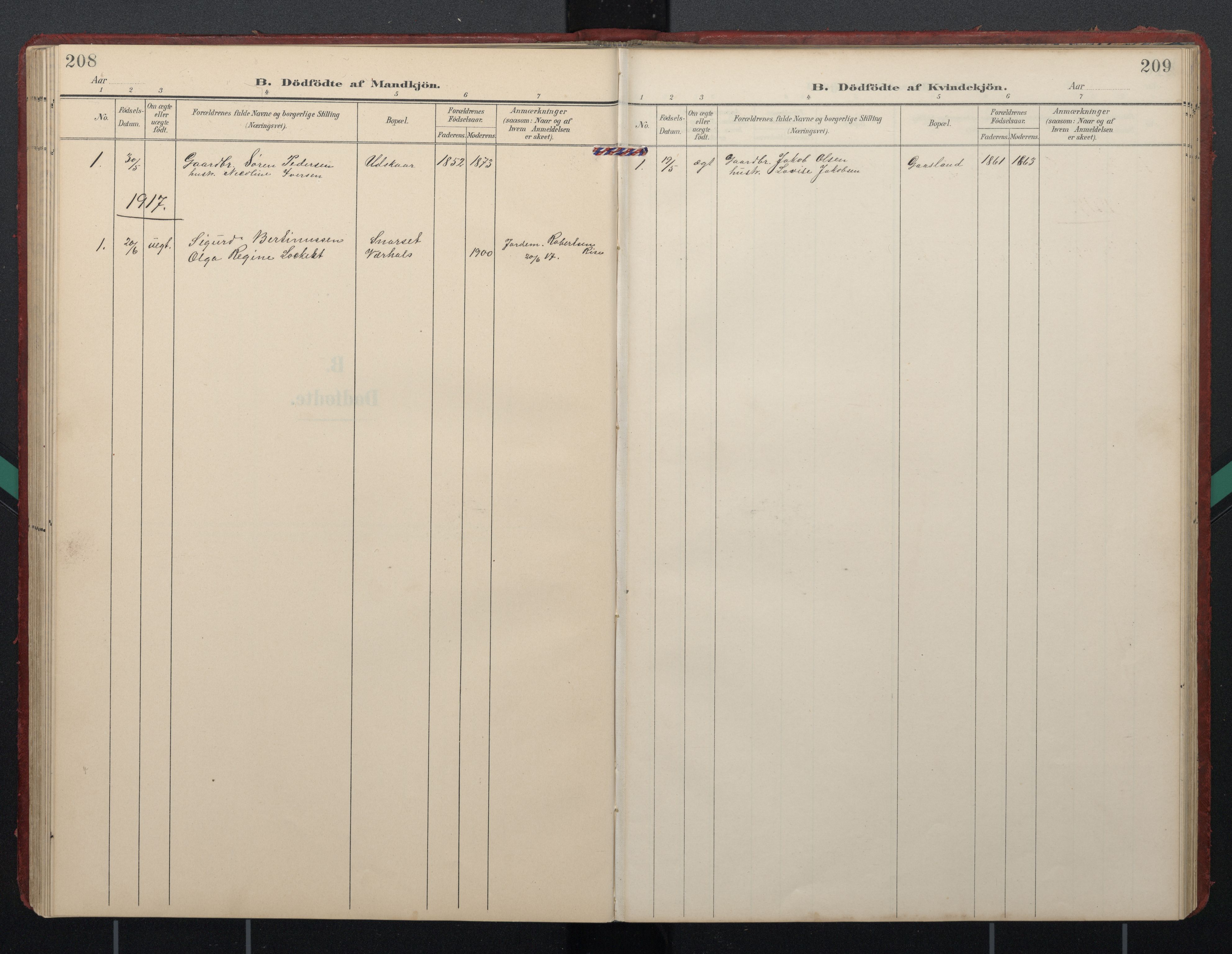 Ministerialprotokoller, klokkerbøker og fødselsregistre - Nordland, AV/SAT-A-1459/892/L1322: Parish register (official) no. 892A03, 1904-1921, p. 208-209