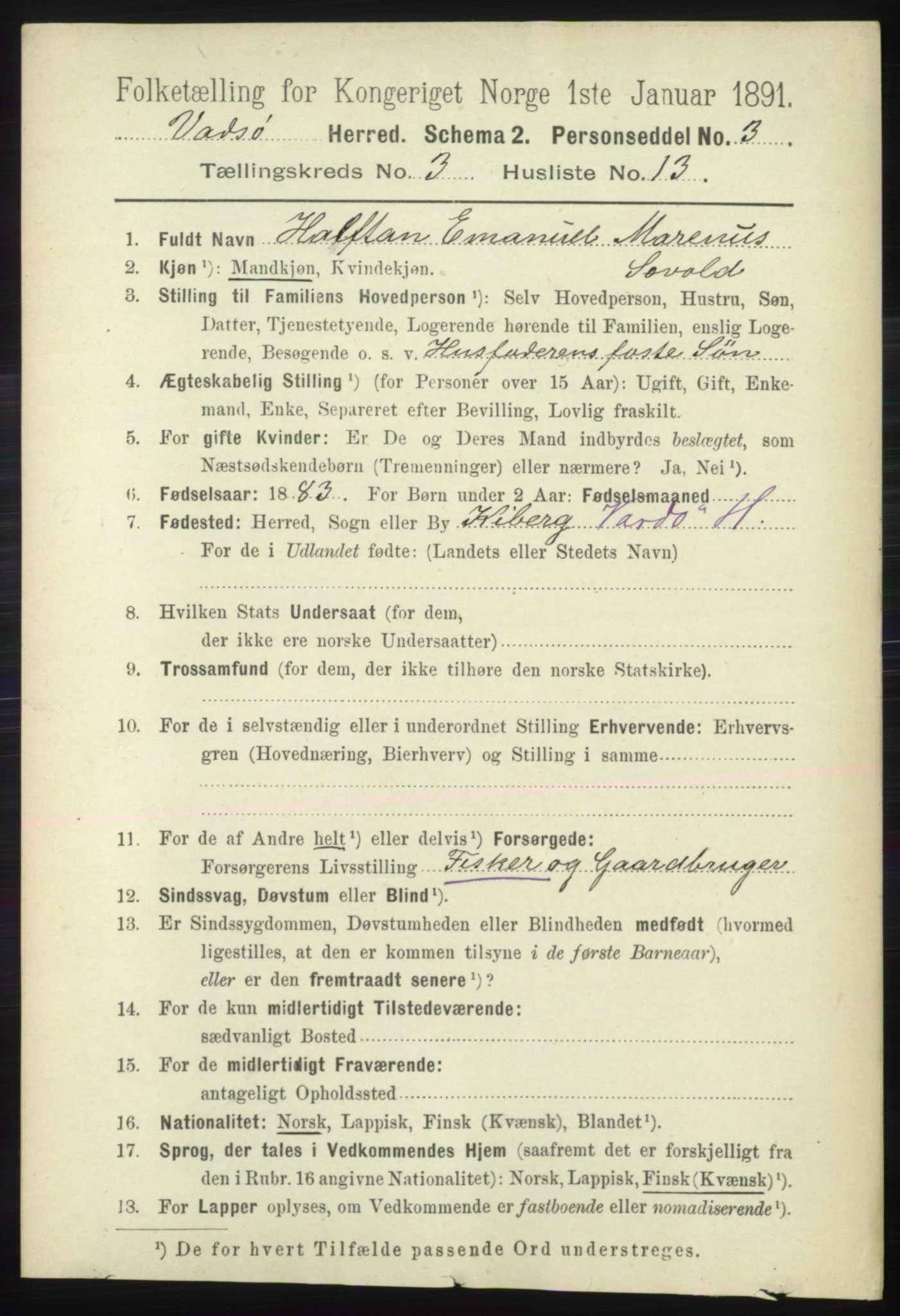 RA, 1891 census for 2029 Vadsø, 1891, p. 891