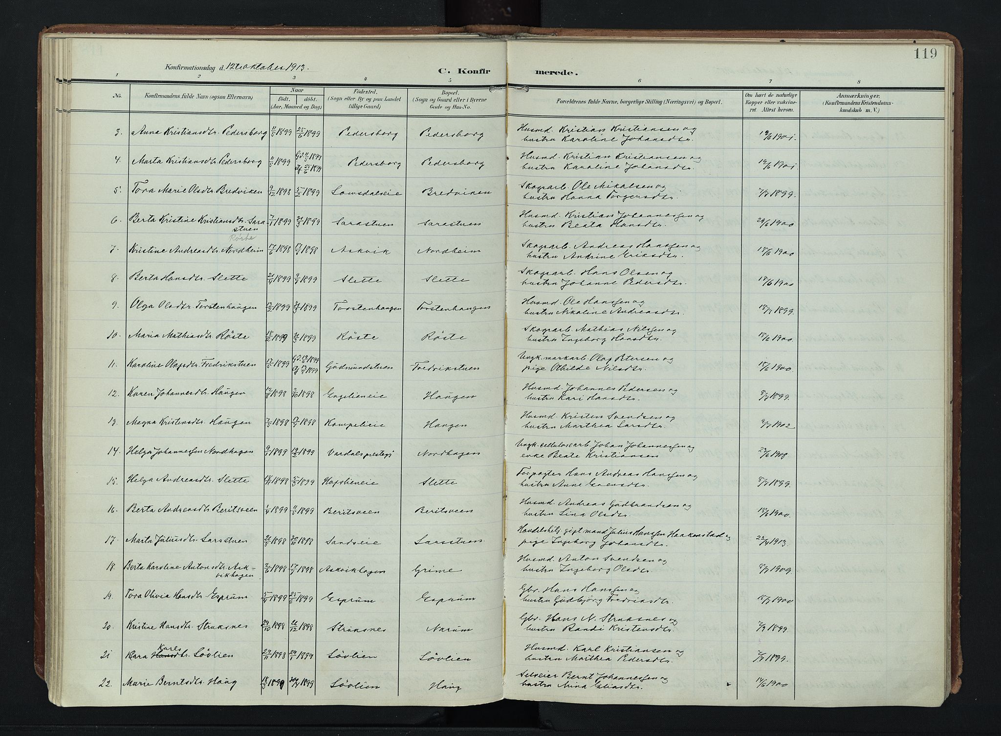 Søndre Land prestekontor, AV/SAH-PREST-122/K/L0007: Parish register (official) no. 7, 1905-1914, p. 119