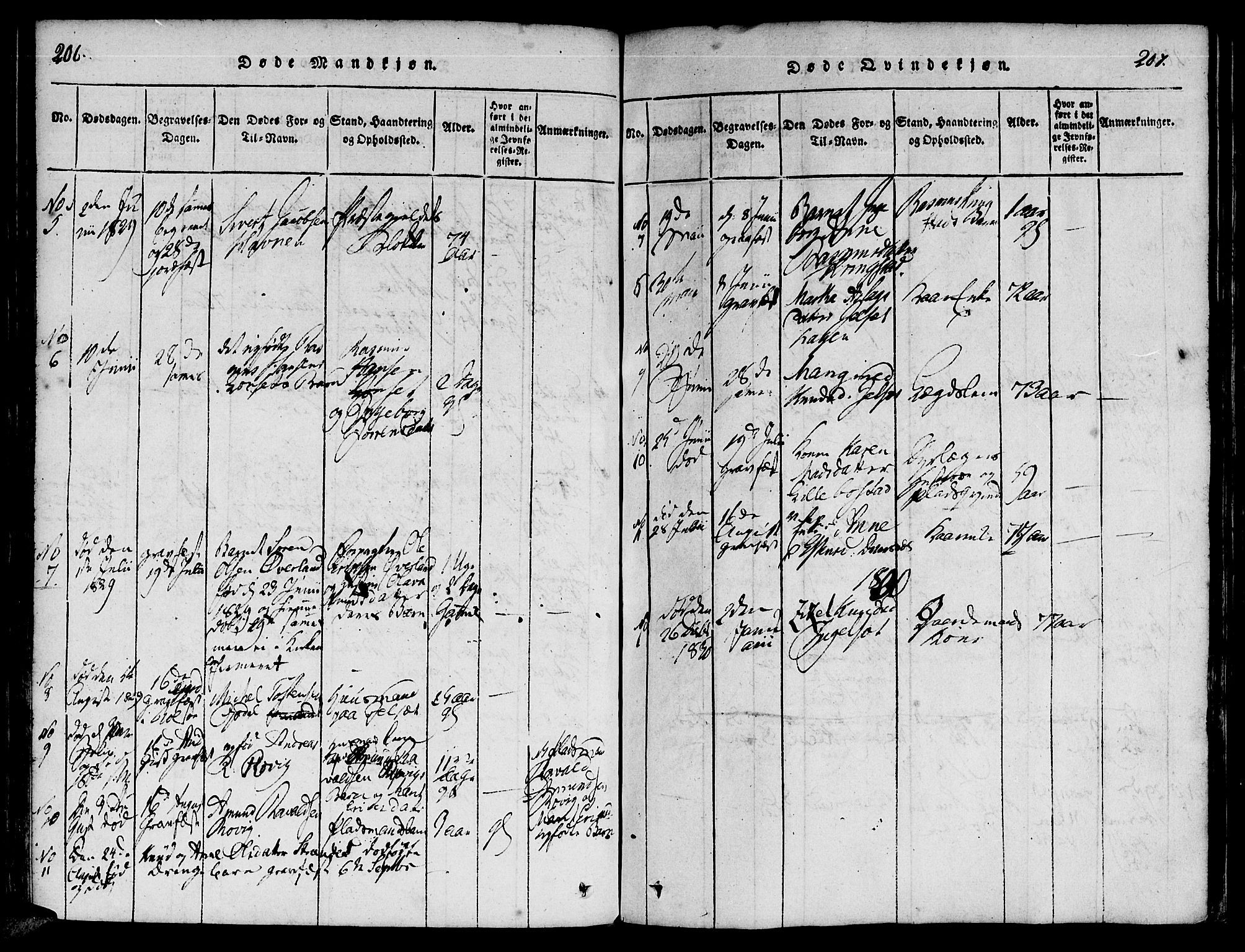 Ministerialprotokoller, klokkerbøker og fødselsregistre - Møre og Romsdal, SAT/A-1454/555/L0652: Parish register (official) no. 555A03, 1817-1843, p. 206-207