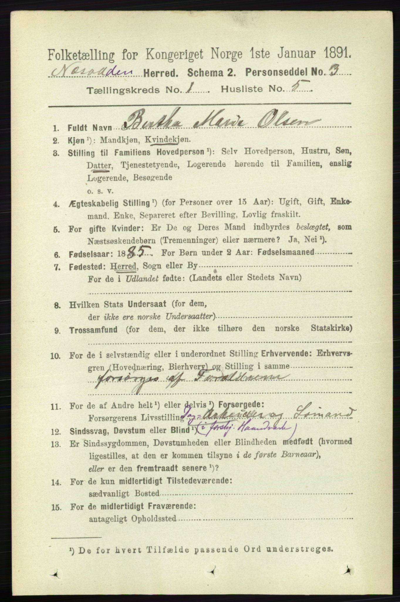 RA, 1891 census for 0216 Nesodden, 1891, p. 114