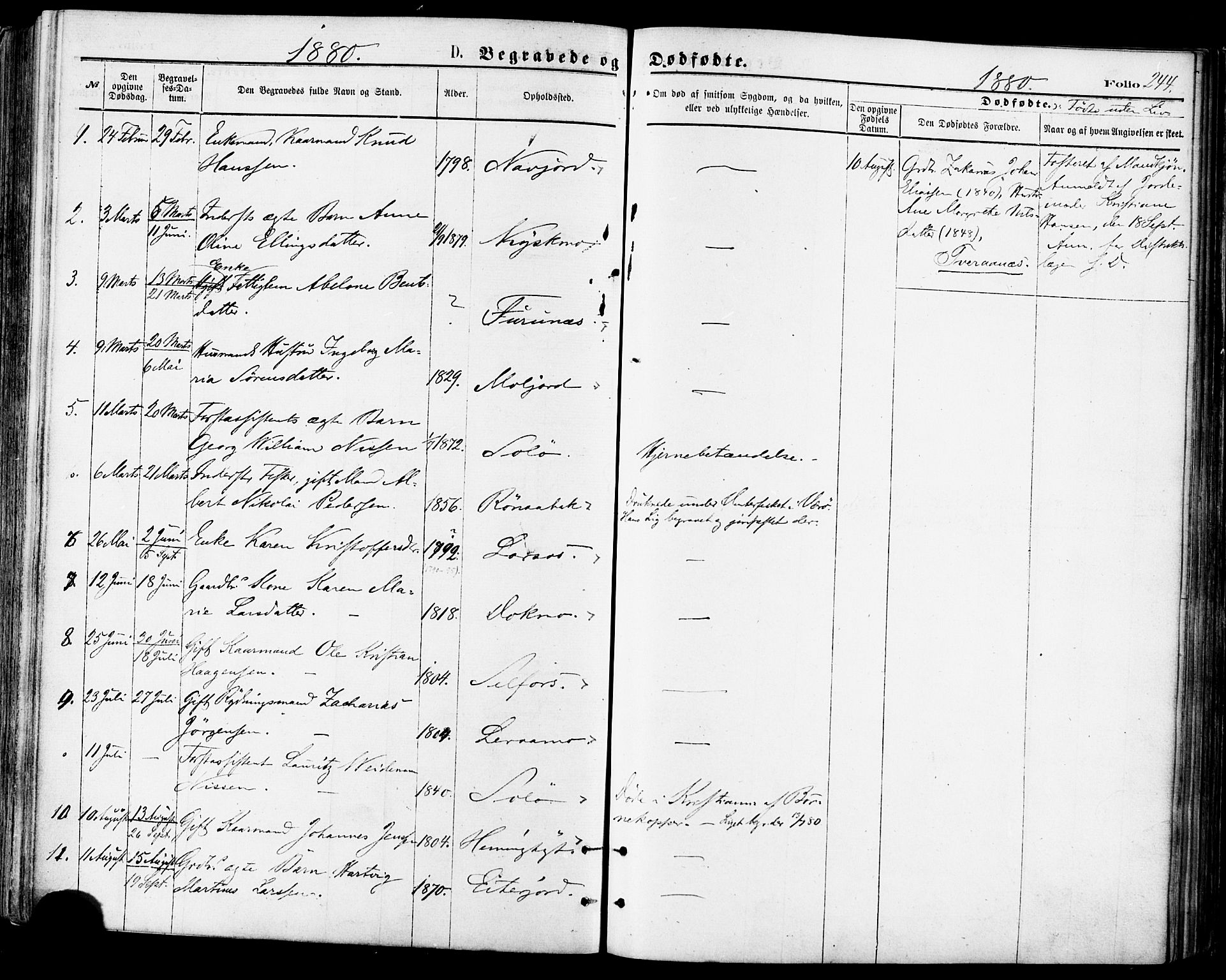 Ministerialprotokoller, klokkerbøker og fødselsregistre - Nordland, SAT/A-1459/846/L0645: Parish register (official) no. 846A03, 1872-1886, p. 244