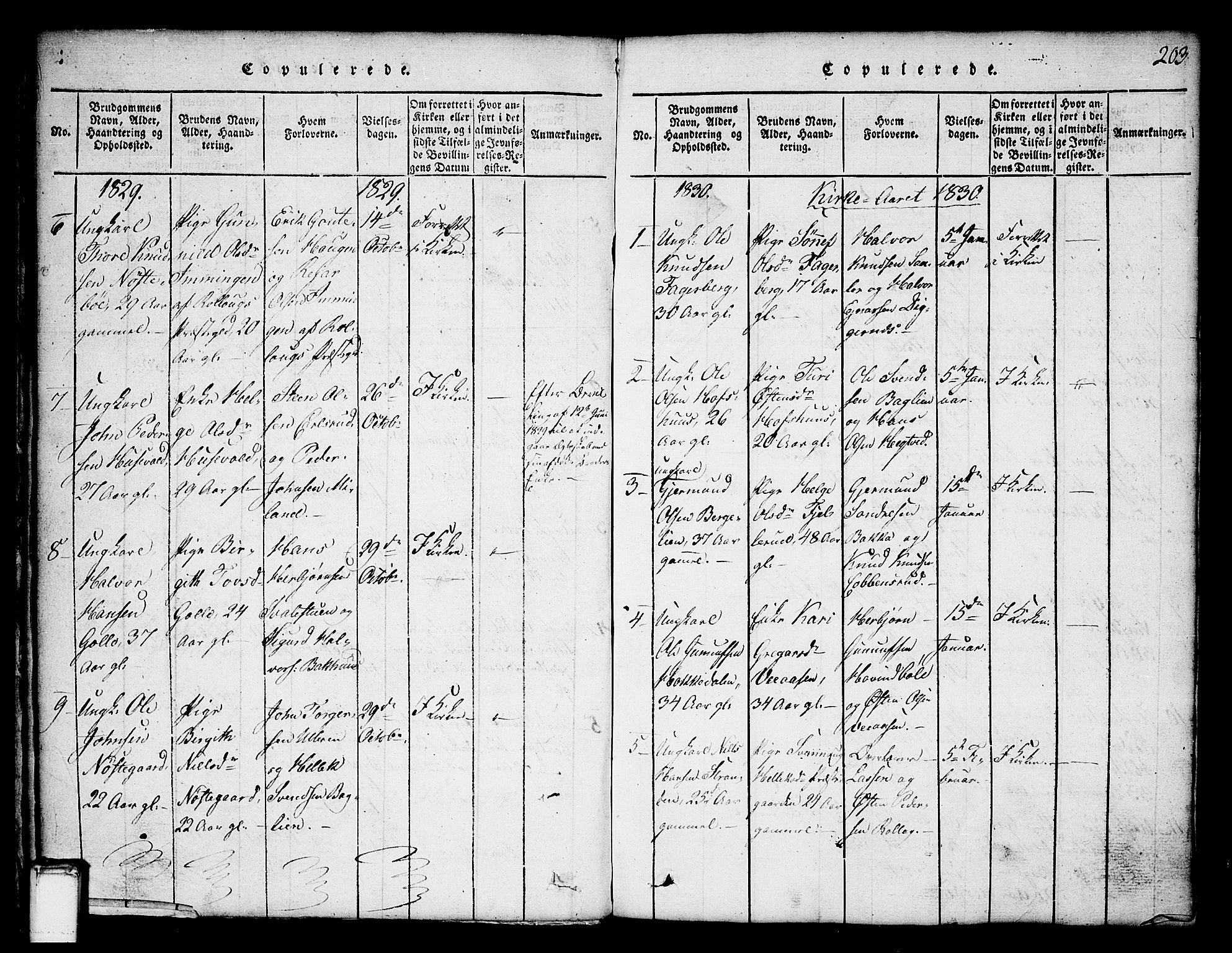 Tinn kirkebøker, SAKO/A-308/G/Ga/L0001: Parish register (copy) no. I 1, 1815-1850, p. 203