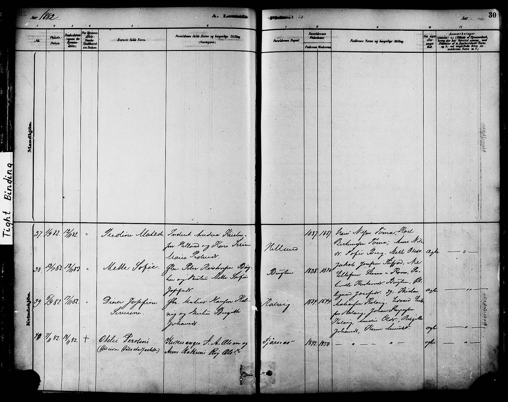 Ministerialprotokoller, klokkerbøker og fødselsregistre - Nordland, AV/SAT-A-1459/861/L0868: Parish register (official) no. 861A03, 1879-1889, p. 30