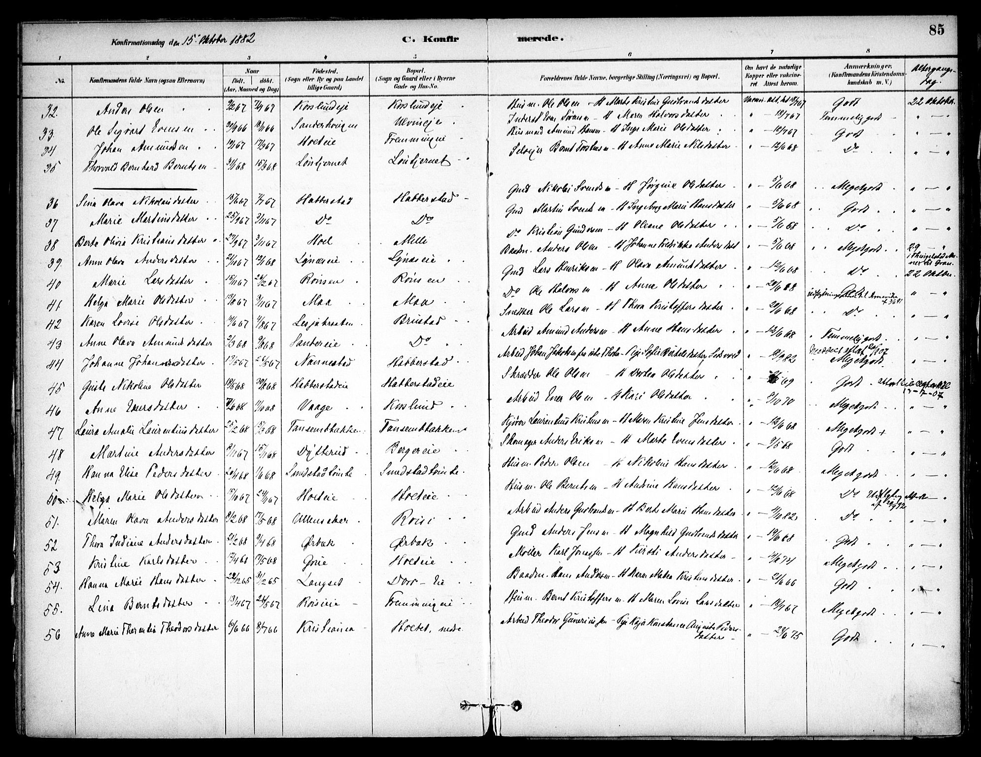 Eidsvoll prestekontor Kirkebøker, SAO/A-10888/F/Fb/L0001: Parish register (official) no. II 1, 1882-1897, p. 85
