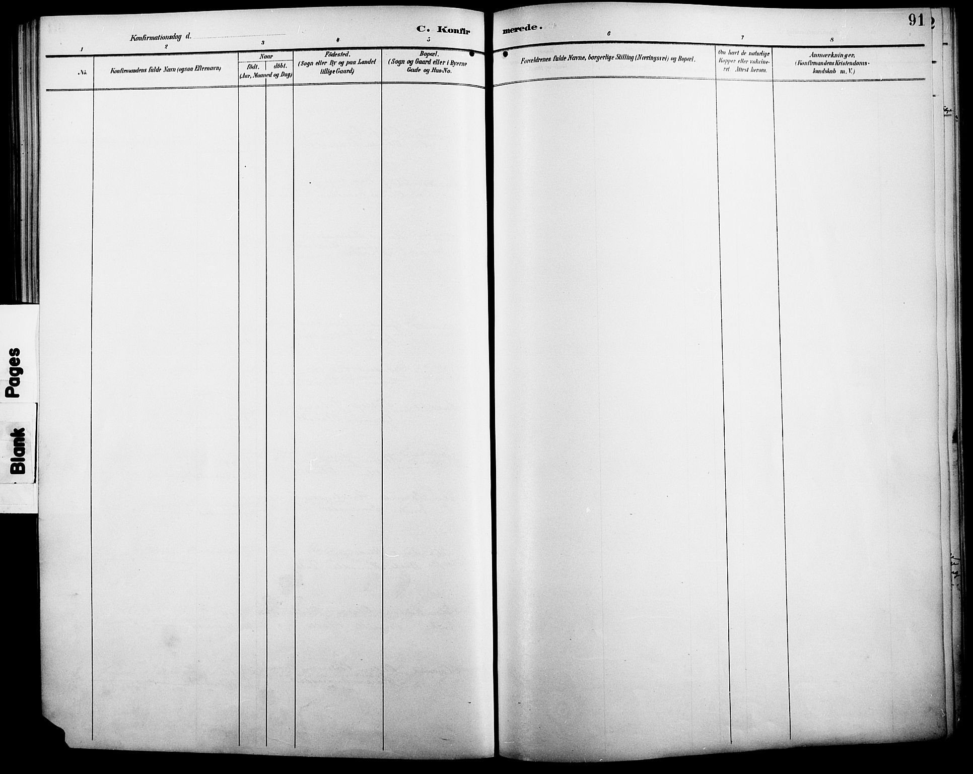 Åmot prestekontor, Hedmark, AV/SAH-PREST-056/H/Ha/Haa/L0011: Parish register (official) no. 11, 1890-1897, p. 91