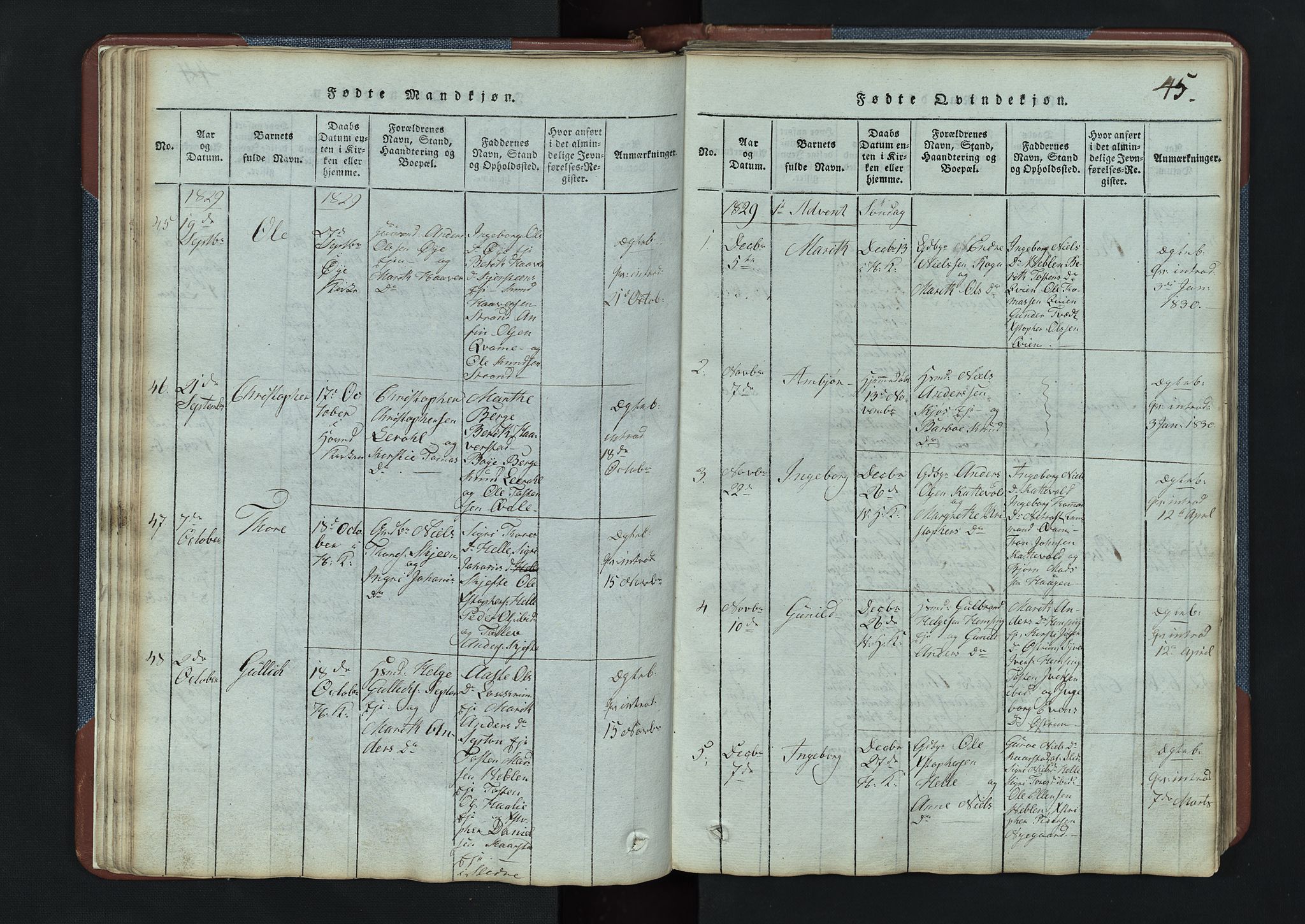 Vang prestekontor, Valdres, SAH/PREST-140/H/Hb/L0003: Parish register (copy) no. 3, 1814-1892, p. 45