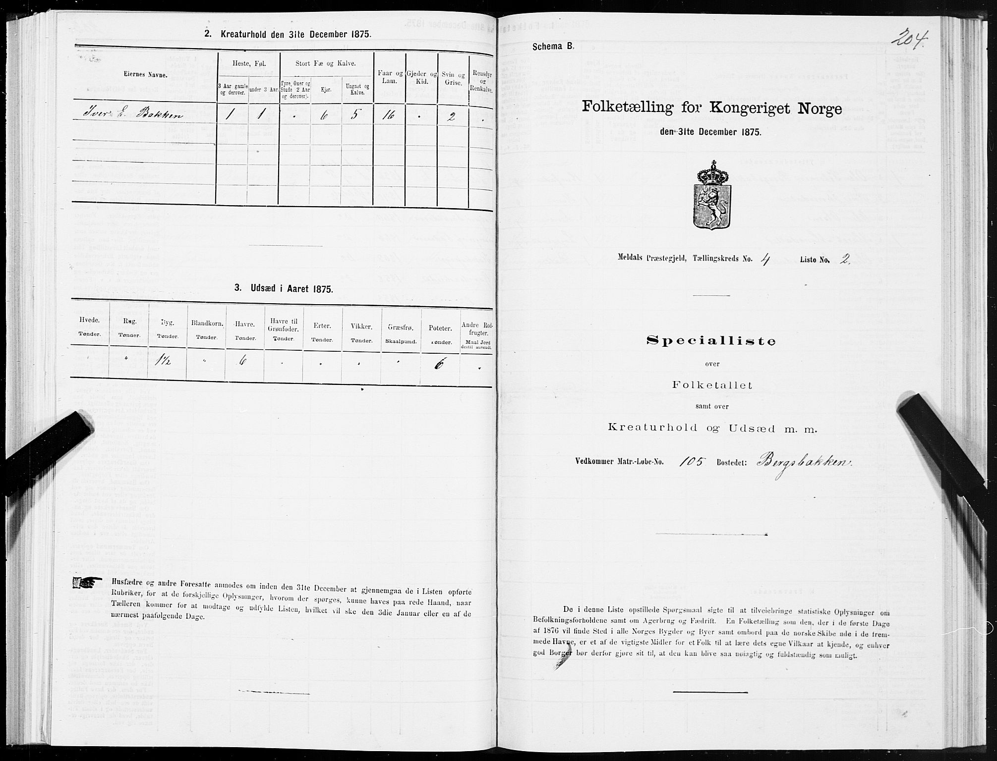 SAT, 1875 census for 1636P Meldal, 1875, p. 2204