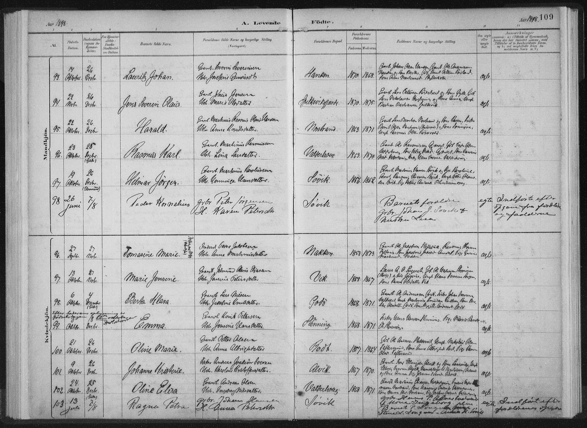 Ministerialprotokoller, klokkerbøker og fødselsregistre - Møre og Romsdal, AV/SAT-A-1454/528/L0405: Parish register (official) no. 528A14, 1891-1906, p. 109