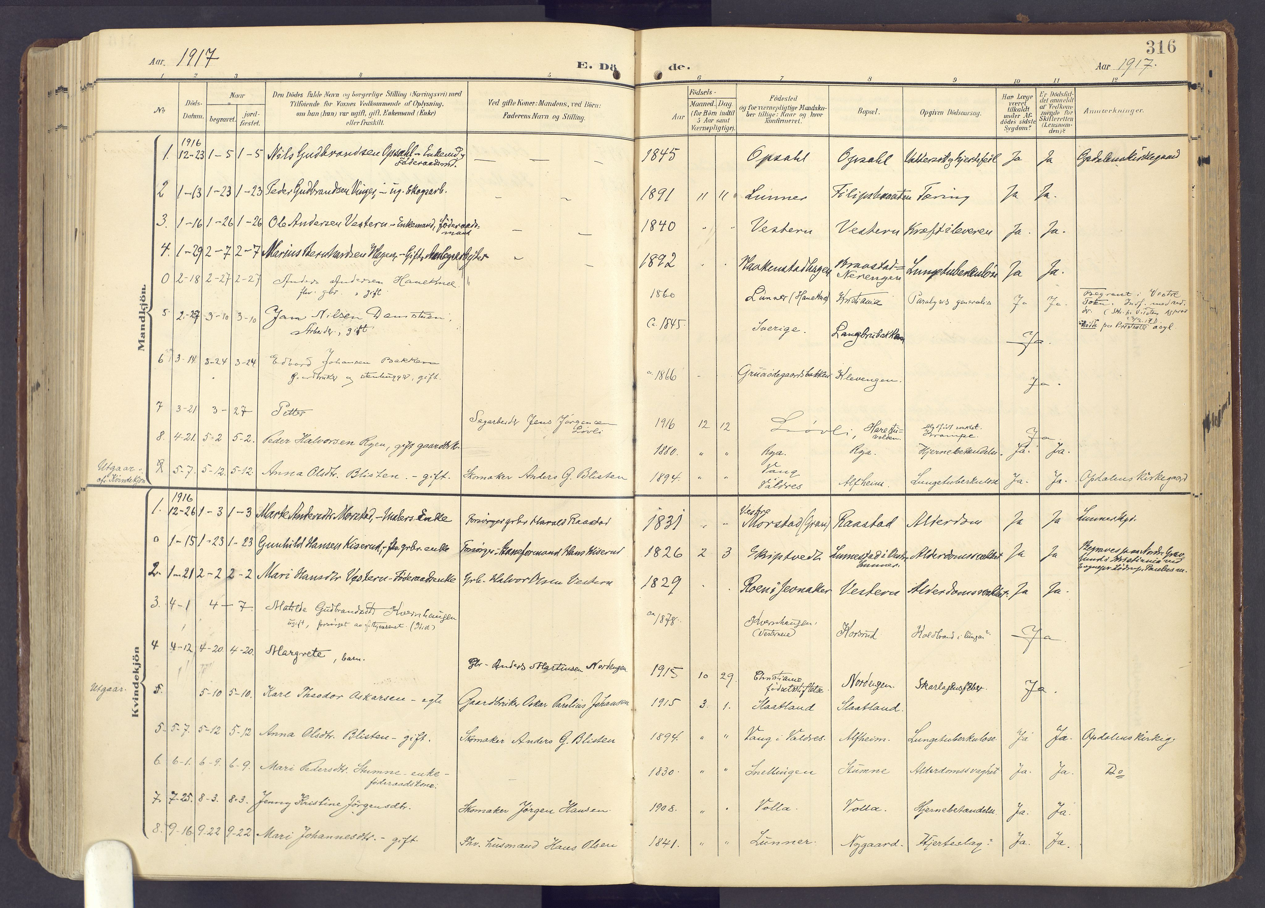 Lunner prestekontor, SAH/PREST-118/H/Ha/Haa/L0001: Parish register (official) no. 1, 1907-1922, p. 316