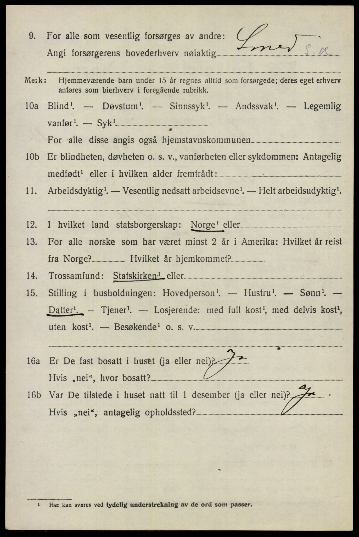 SAO, 1920 census for Nes, 1920, p. 11927