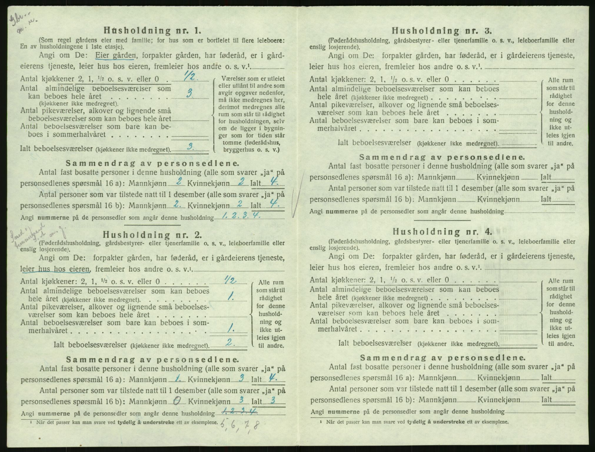 SAK, 1920 census for Hornnes, 1920, p. 490