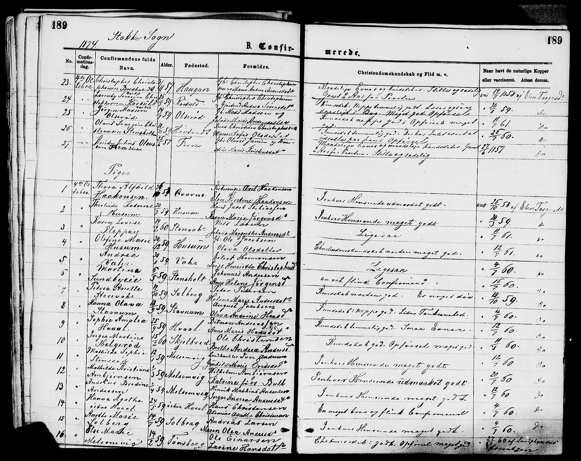 Stokke kirkebøker, AV/SAKO-A-320/F/Fa/L0009: Parish register (official) no. I 9, 1872-1883, p. 189