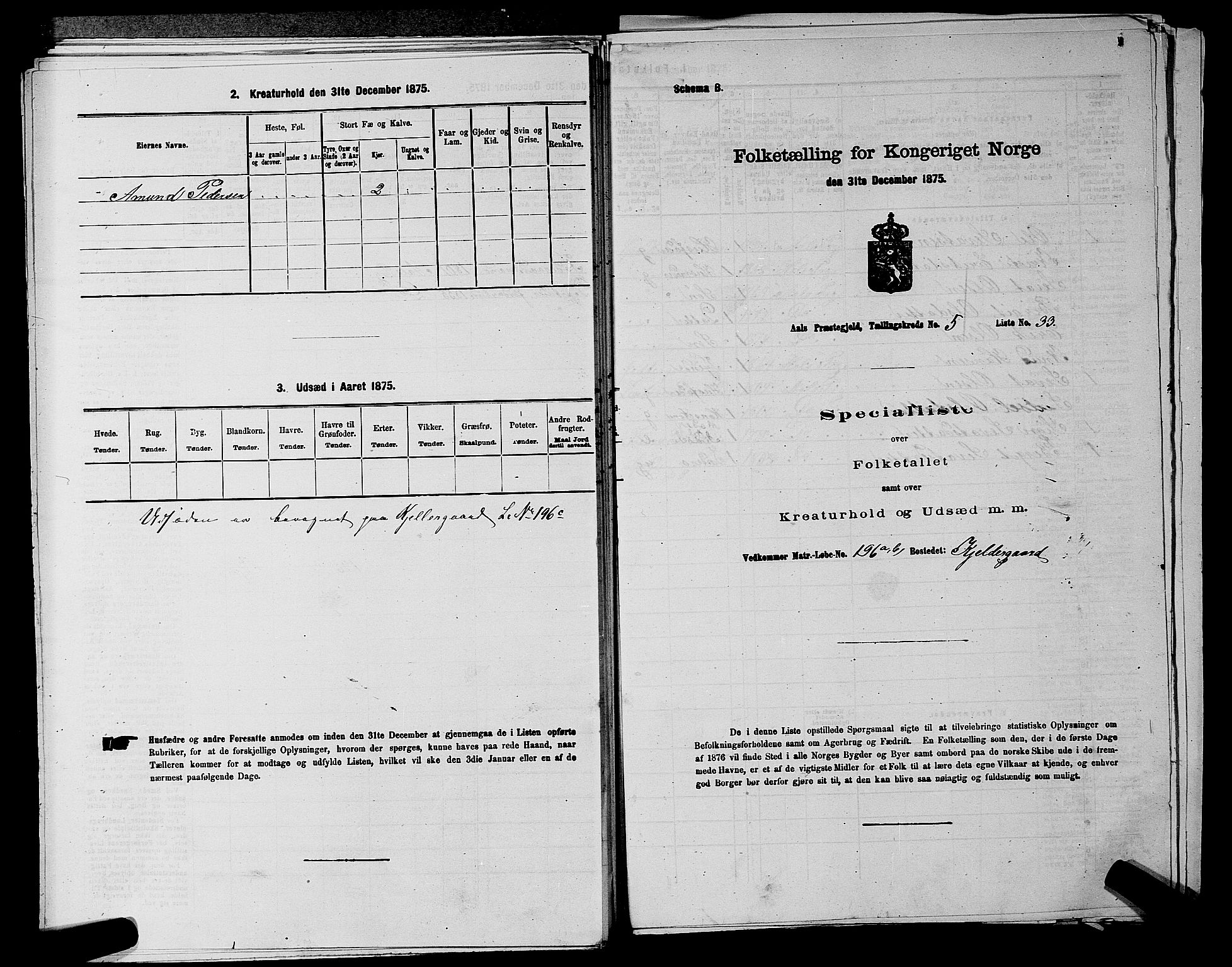 SAKO, 1875 census for 0619P Ål, 1875, p. 683