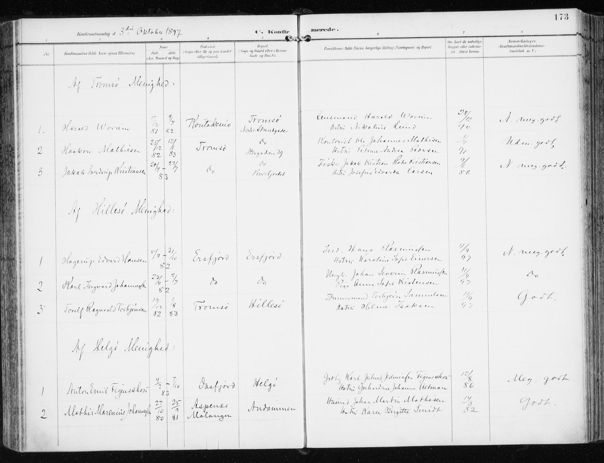 Tromsøysund sokneprestkontor, AV/SATØ-S-1304/G/Ga/L0006kirke: Parish register (official) no. 6, 1897-1906, p. 173