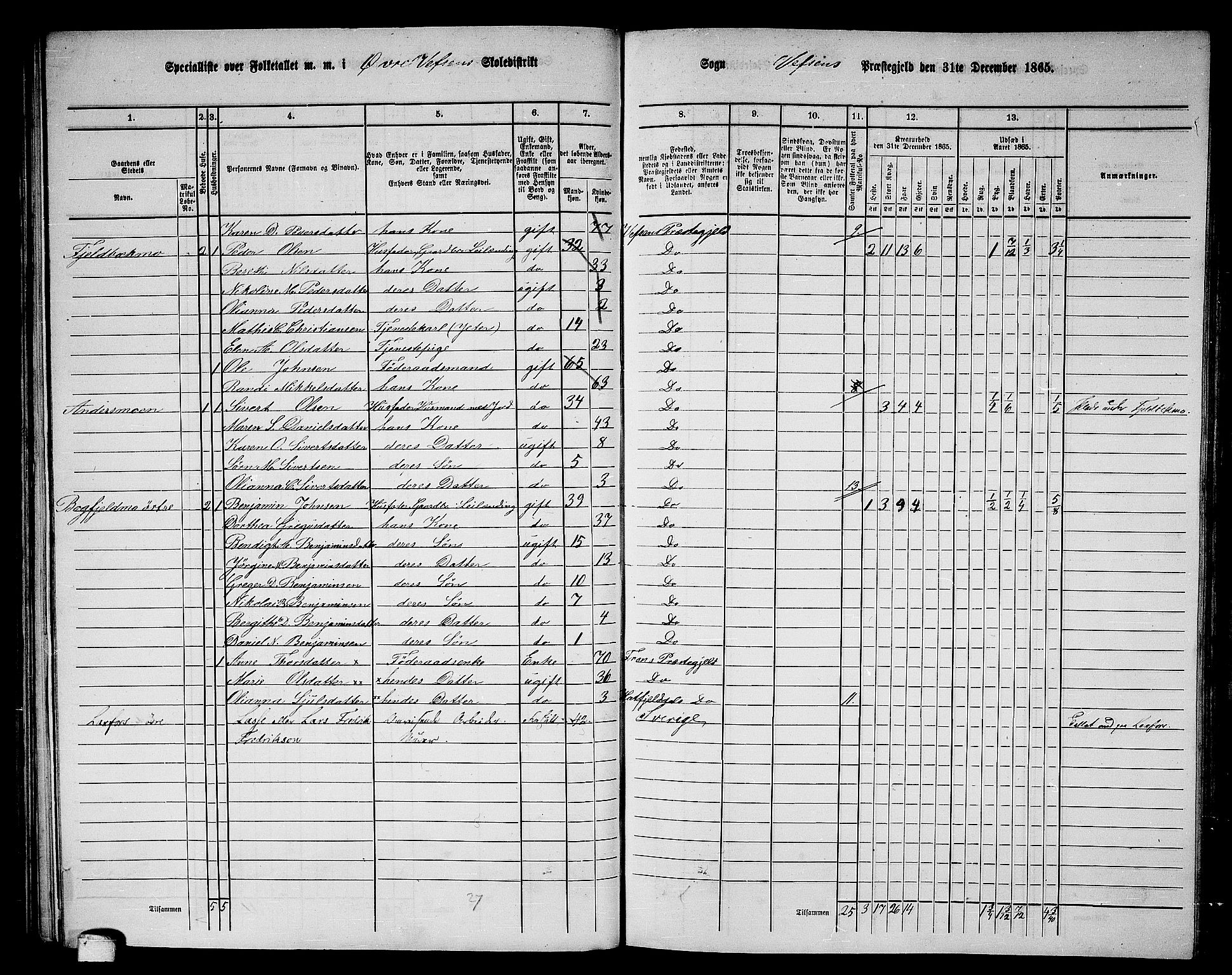 RA, 1865 census for Vefsn, 1865, p. 116