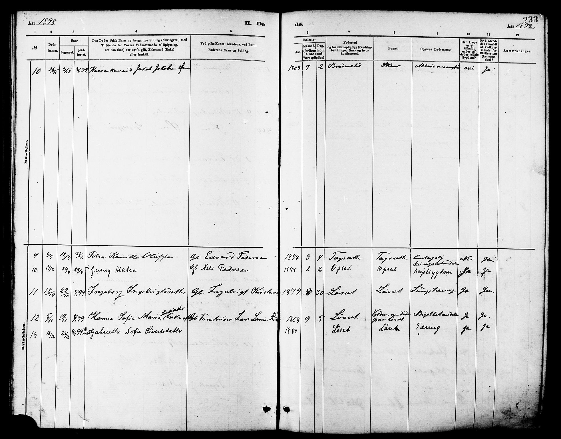 Ministerialprotokoller, klokkerbøker og fødselsregistre - Møre og Romsdal, AV/SAT-A-1454/502/L0027: Parish register (copy) no. 502C01, 1878-1908, p. 233