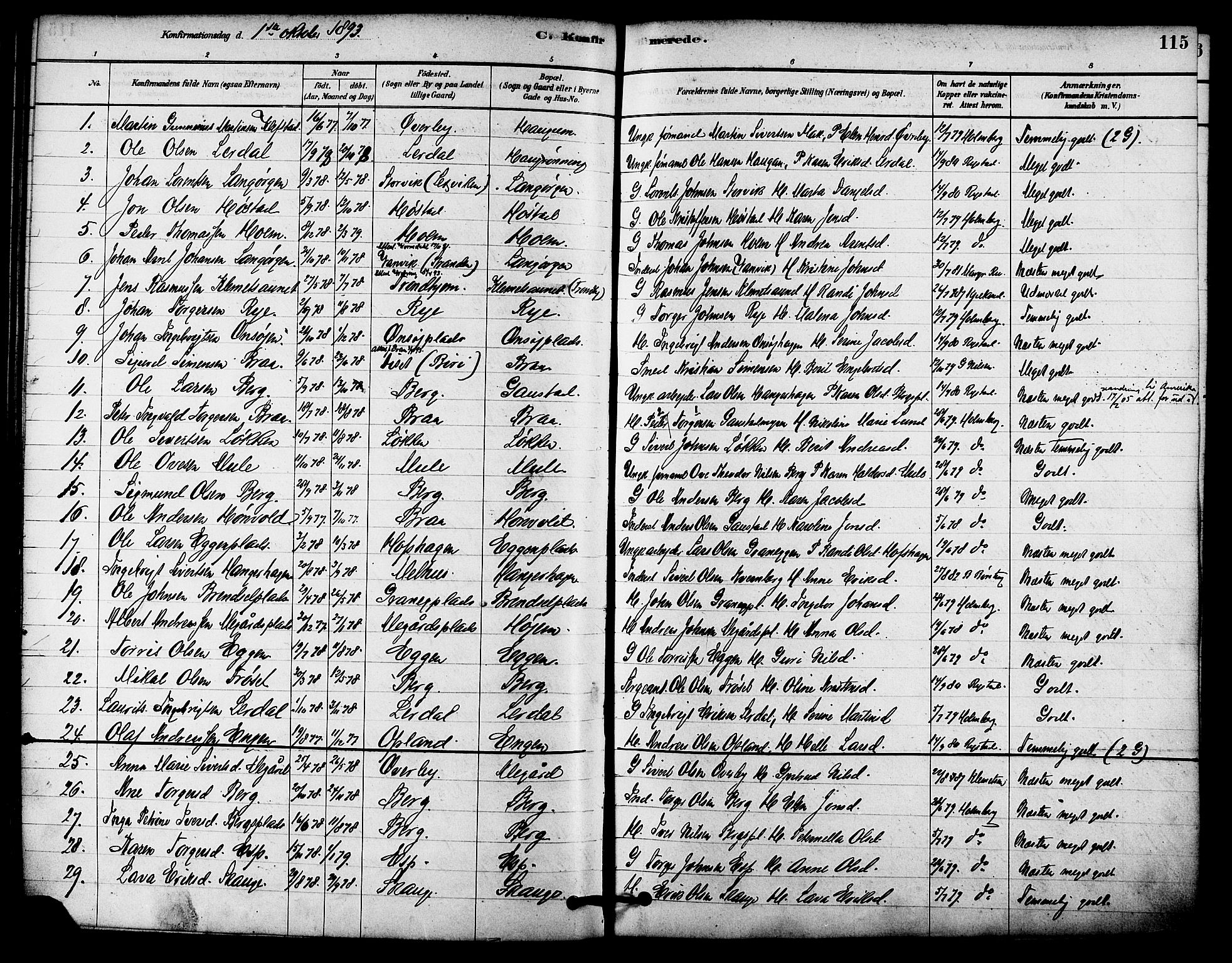 Ministerialprotokoller, klokkerbøker og fødselsregistre - Sør-Trøndelag, SAT/A-1456/612/L0378: Parish register (official) no. 612A10, 1878-1897, p. 115