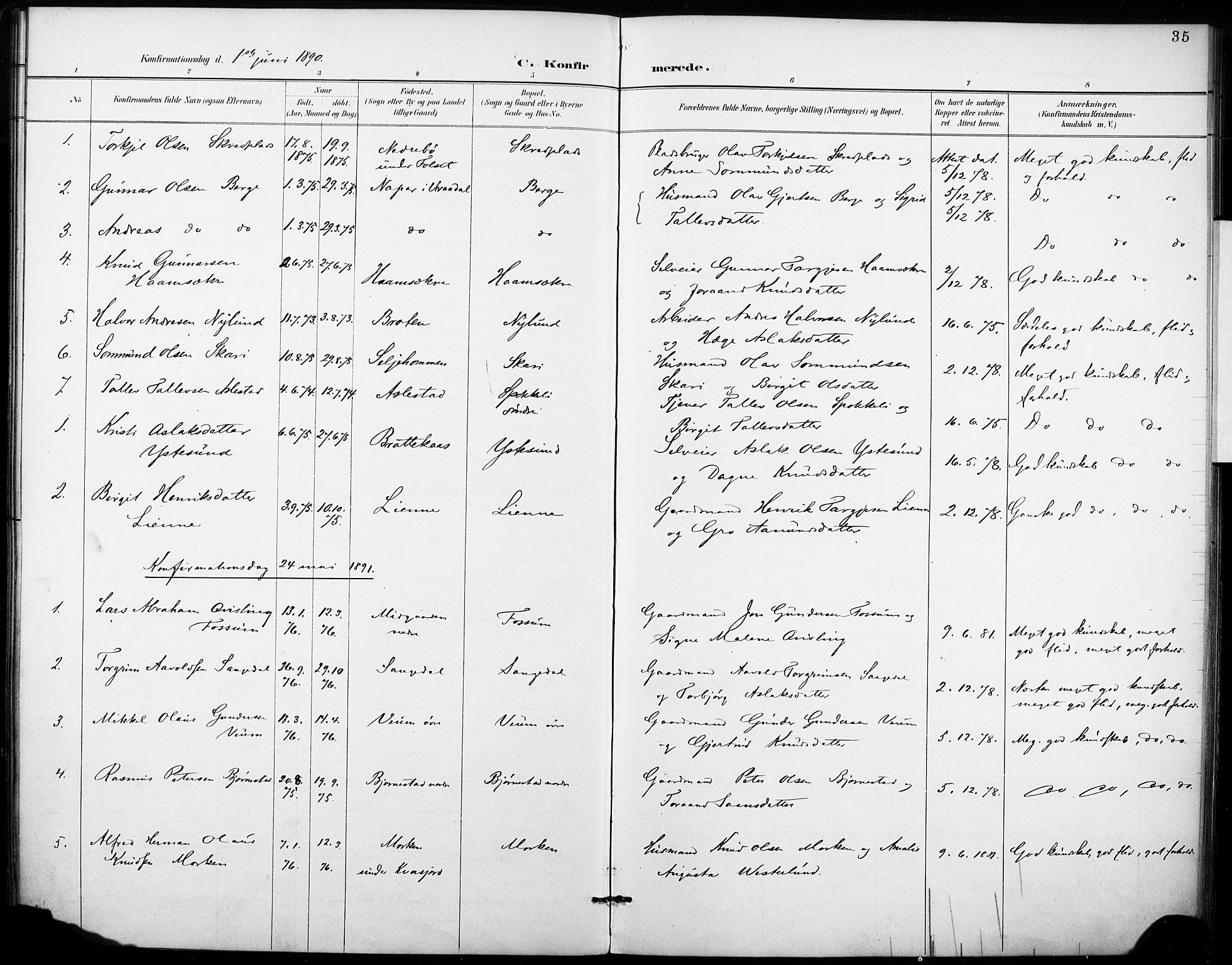 Fyresdal kirkebøker, SAKO/A-263/F/Fb/L0003: Parish register (official) no. II 3, 1887-1903, p. 35