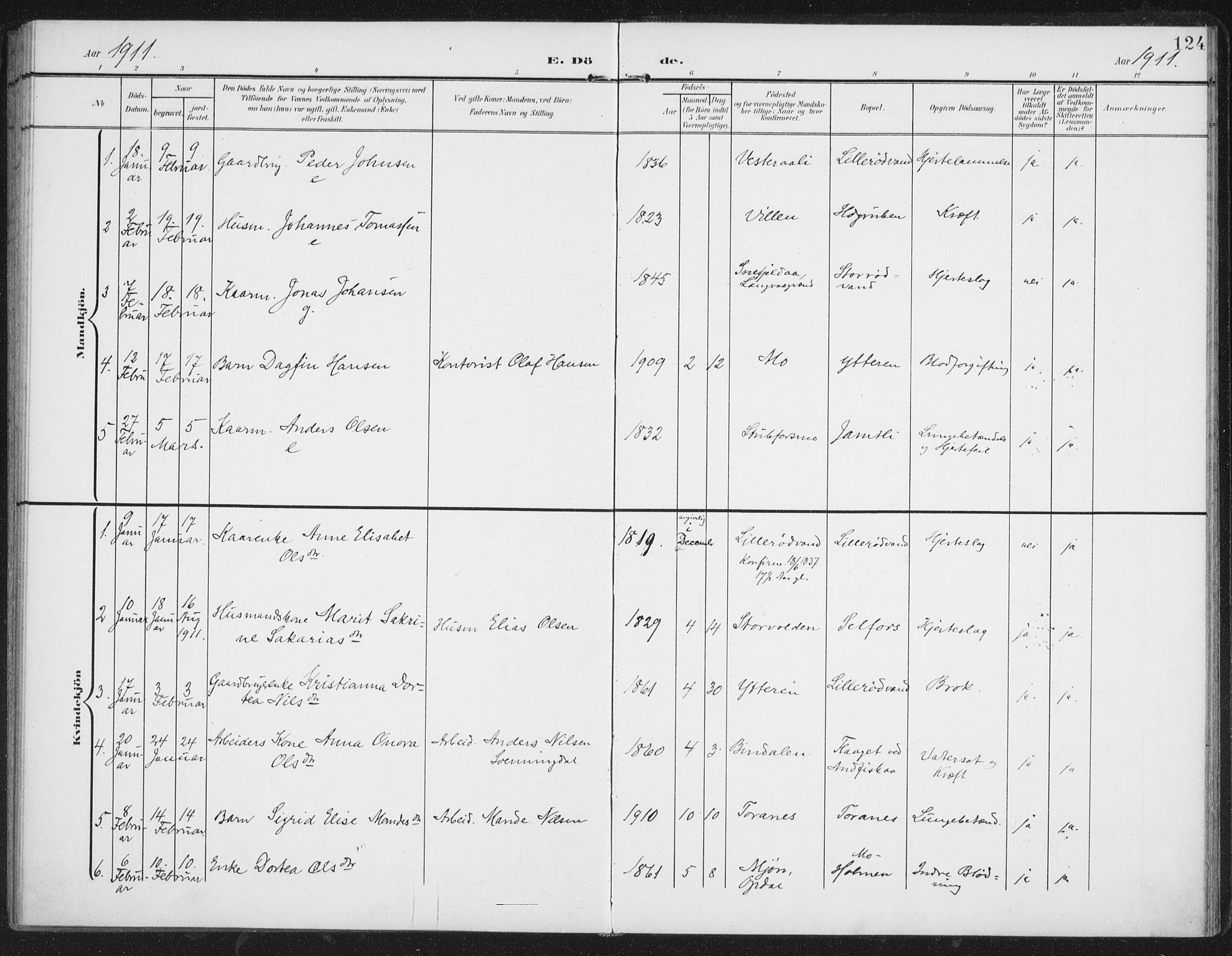 Ministerialprotokoller, klokkerbøker og fødselsregistre - Nordland, AV/SAT-A-1459/827/L0403: Parish register (official) no. 827A15, 1903-1912, p. 124