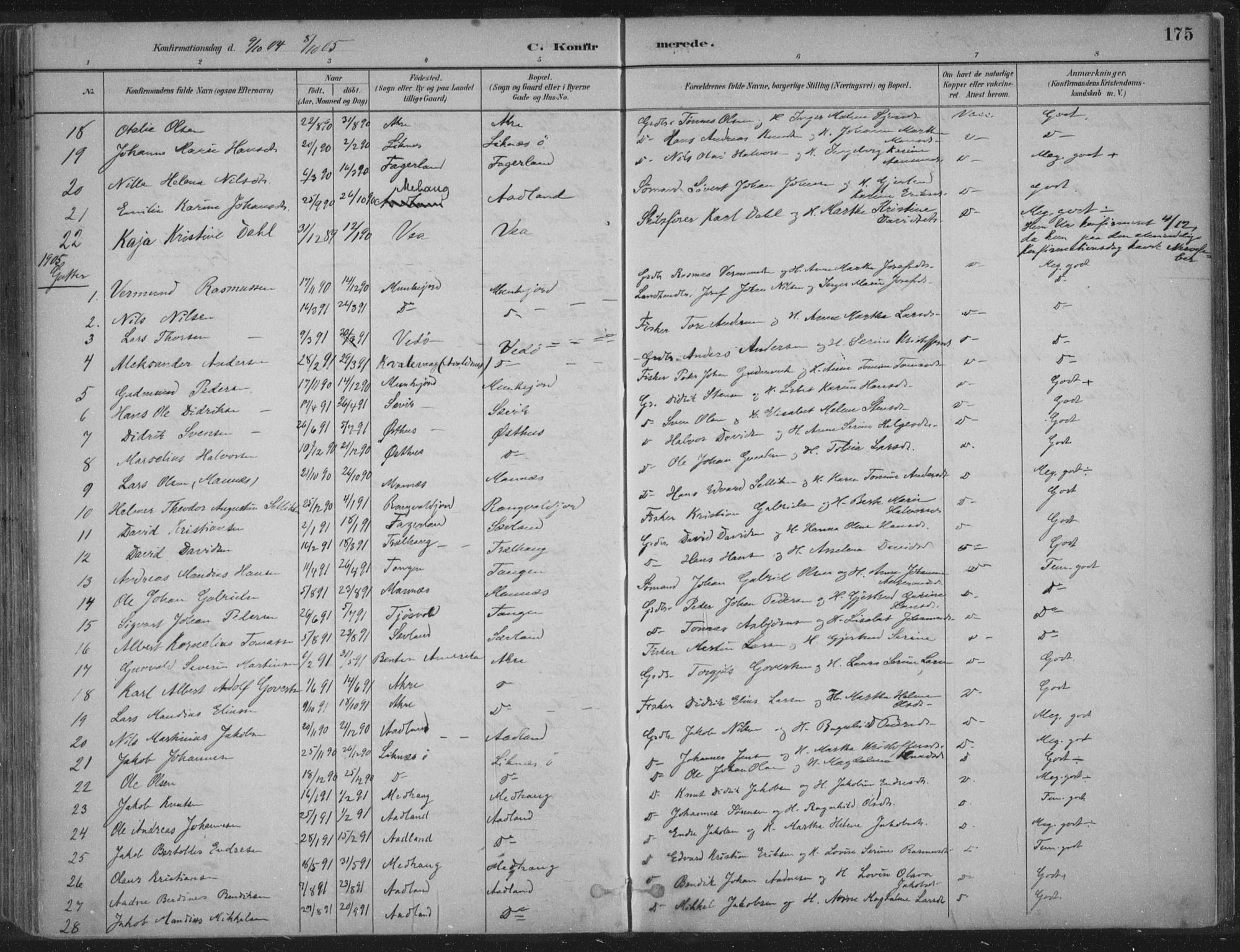 Kopervik sokneprestkontor, SAST/A-101850/H/Ha/Haa/L0004: Parish register (official) no. A 4, 1882-1905, p. 175