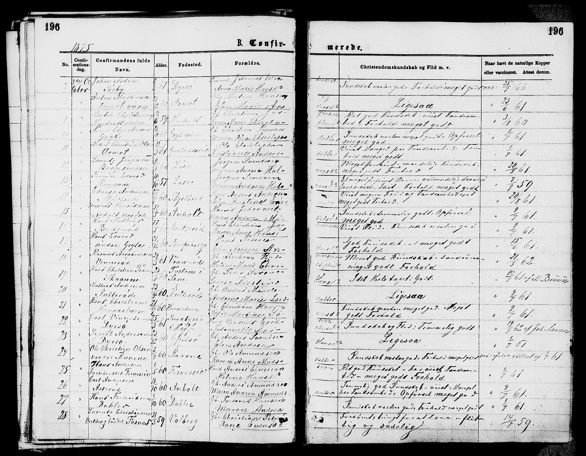 Stokke kirkebøker, AV/SAKO-A-320/F/Fa/L0009: Parish register (official) no. I 9, 1872-1883, p. 196