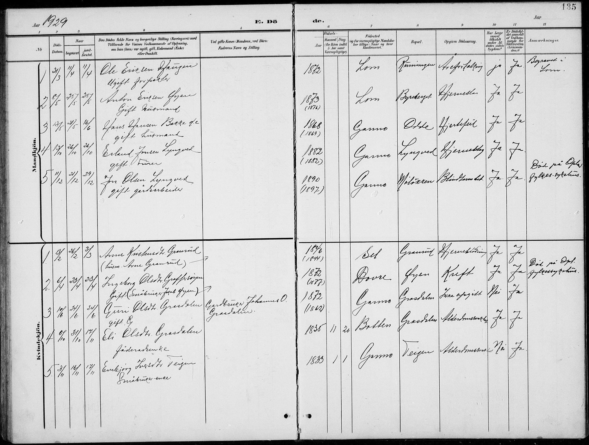 Lom prestekontor, SAH/PREST-070/L/L0006: Parish register (copy) no. 6, 1901-1939, p. 135
