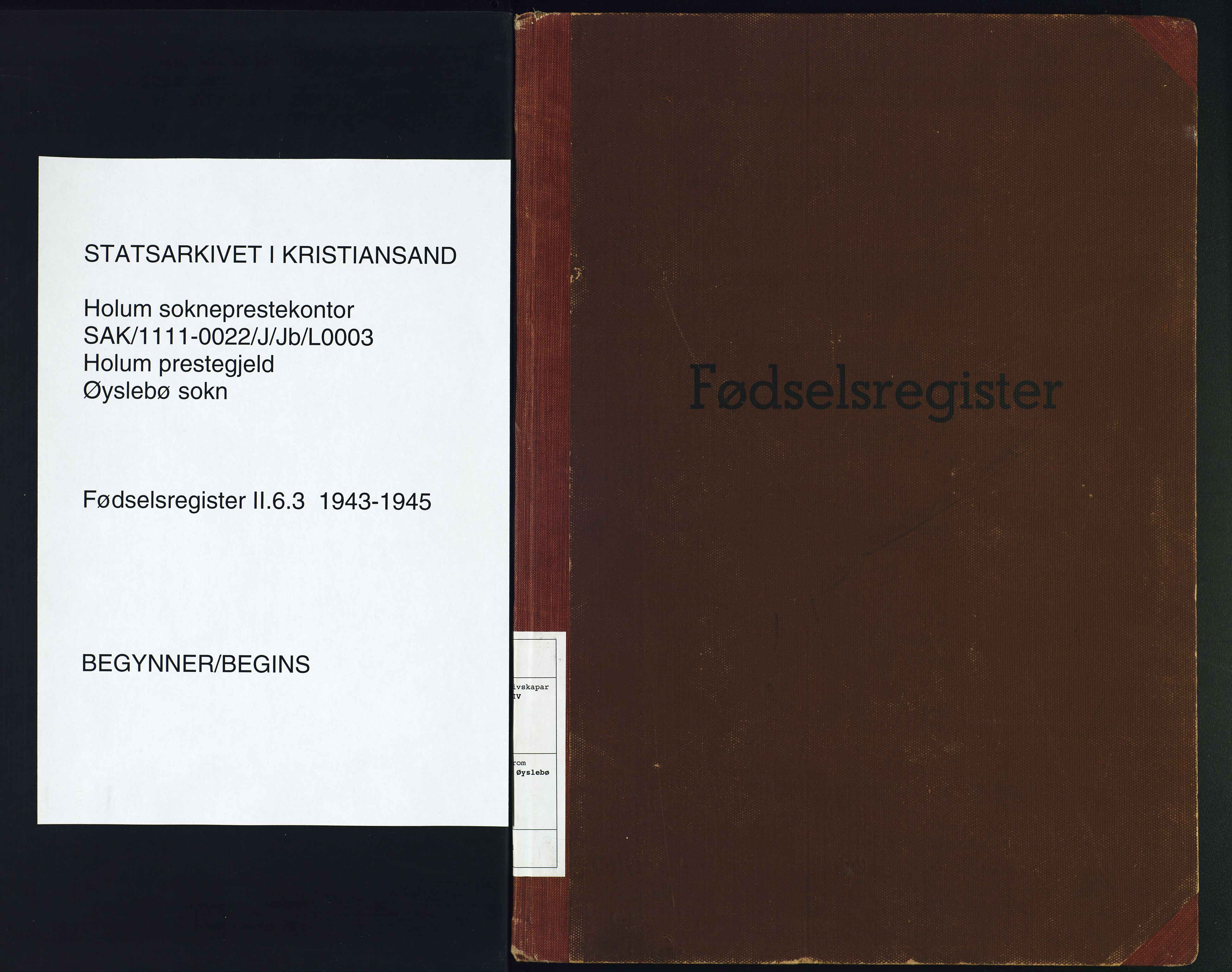 Holum sokneprestkontor, SAK/1111-0022/J/Jb/L0003: Birth register no. II.6.3, 1943-1945