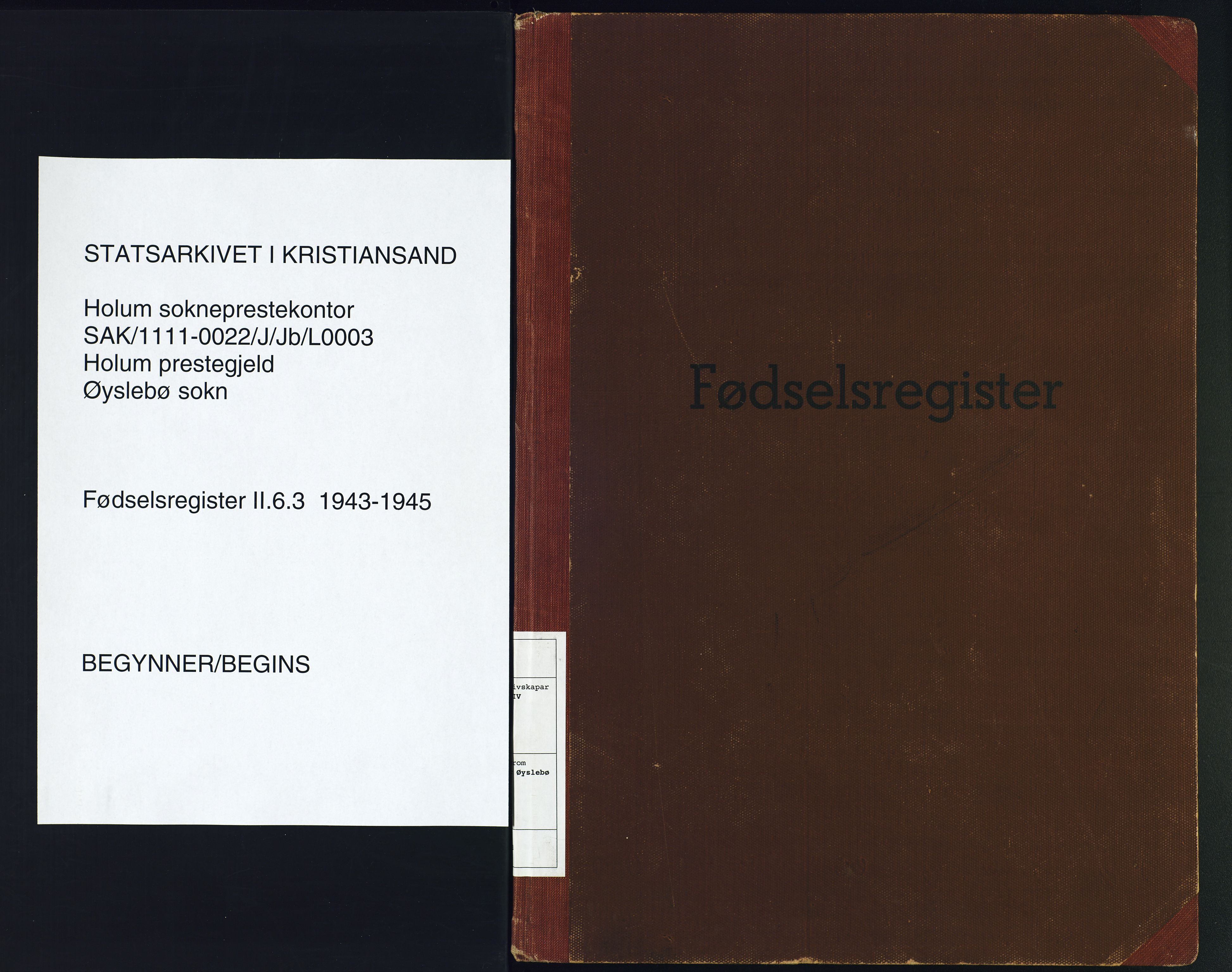 Holum sokneprestkontor, AV/SAK-1111-0022/J/Jb/L0003: Birth register no. II.6.3, 1943-1945