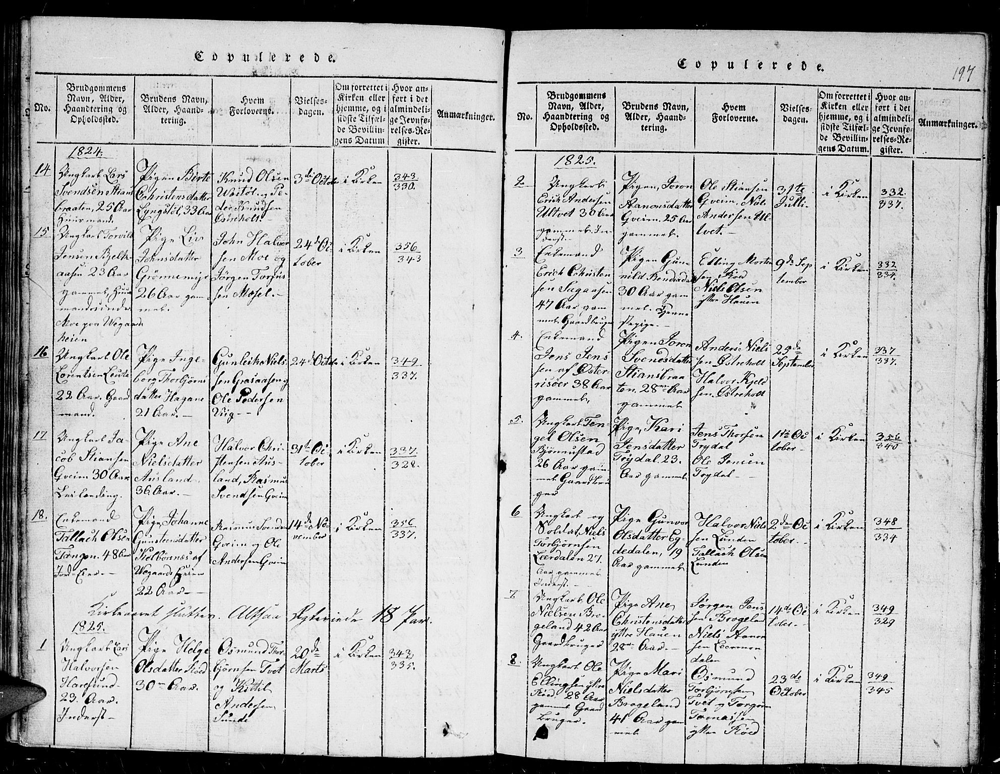 Gjerstad sokneprestkontor, AV/SAK-1111-0014/F/Fb/Fba/L0002: Parish register (copy) no. B 2, 1816-1845, p. 197