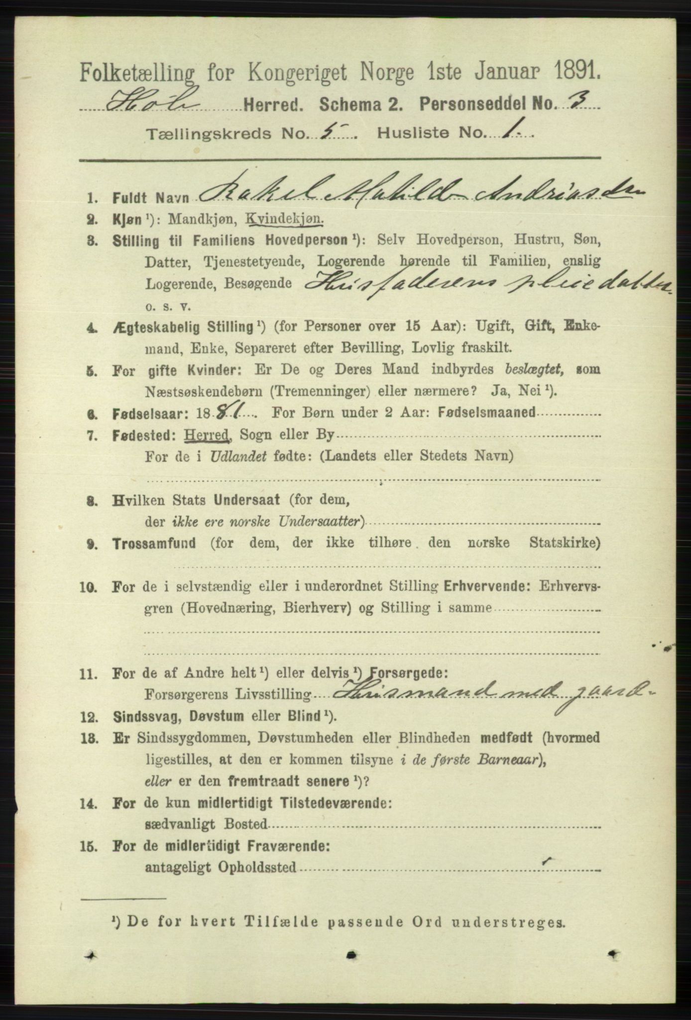 RA, 1891 census for 1128 Høle, 1891, p. 1055