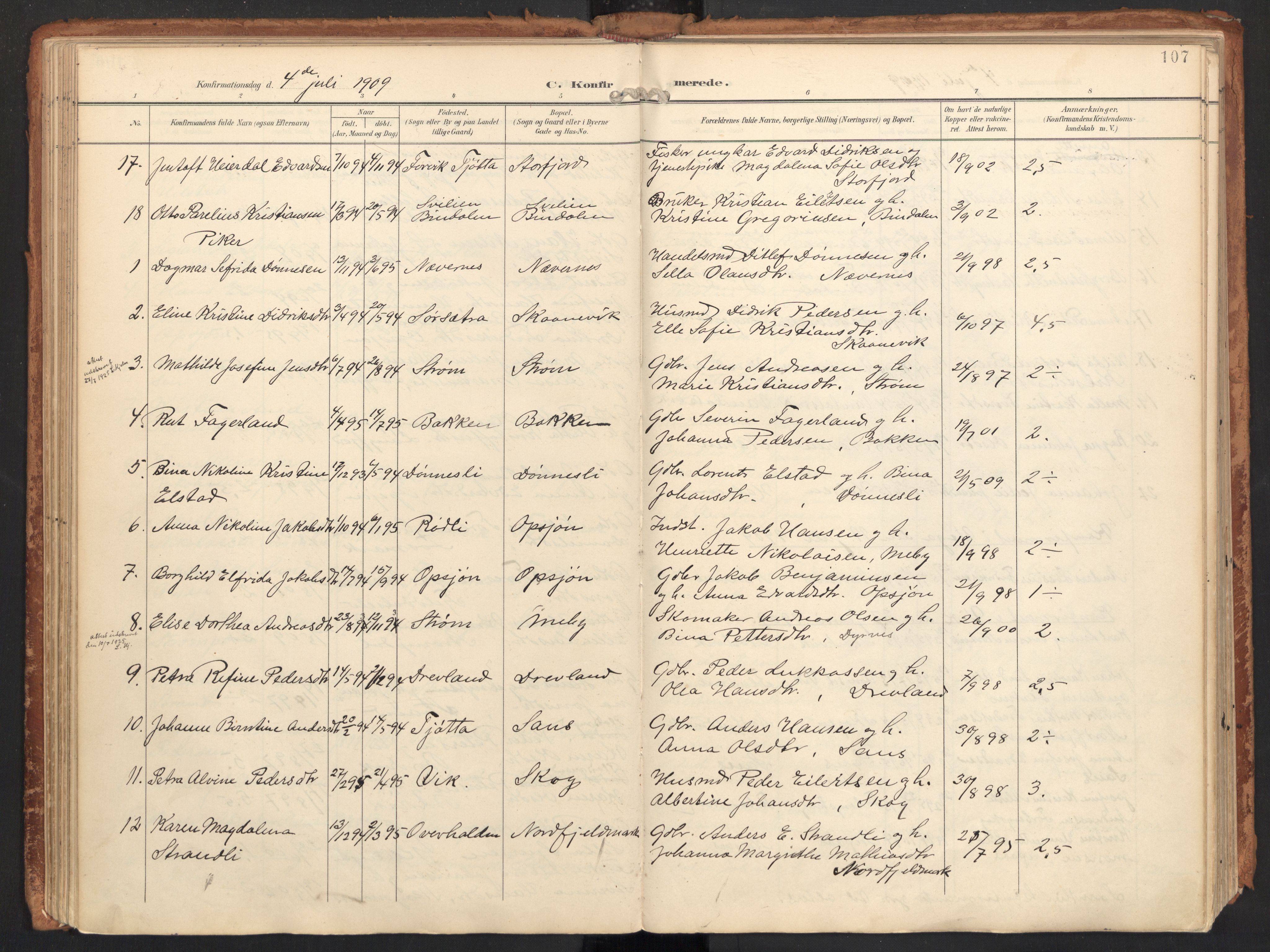 Ministerialprotokoller, klokkerbøker og fødselsregistre - Nordland, AV/SAT-A-1459/814/L0227: Parish register (official) no. 814A08, 1899-1920, p. 107