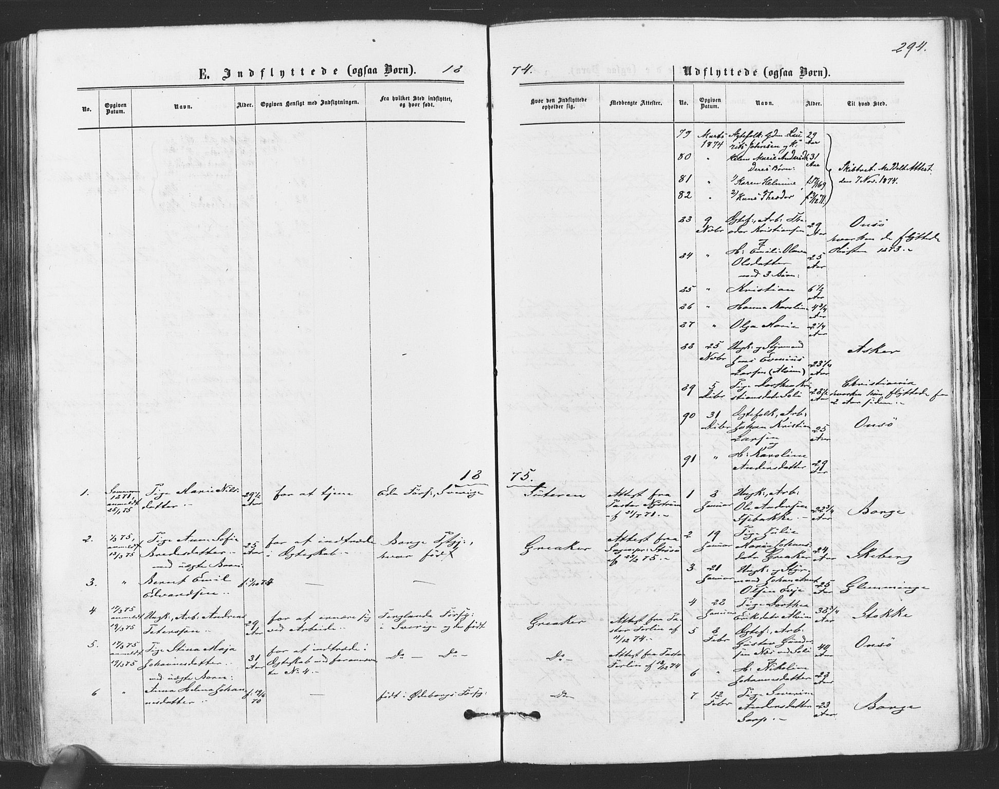 Tune prestekontor Kirkebøker, SAO/A-2007/F/Fa/L0016: Parish register (official) no. 16, 1874-1877, p. 294