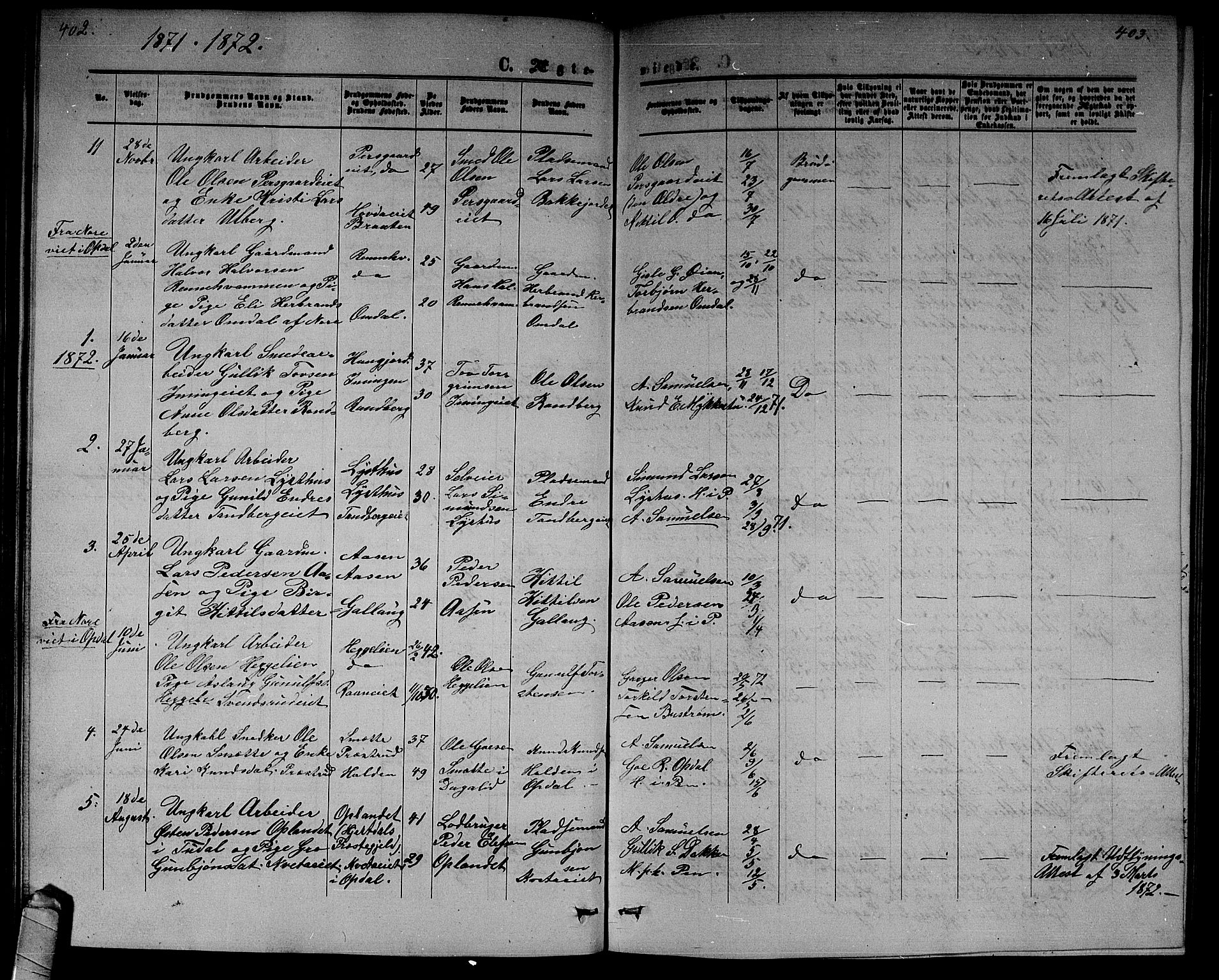 Nore kirkebøker, SAKO/A-238/G/Gb/L0001: Parish register (copy) no. II 1, 1862-1877, p. 402-403