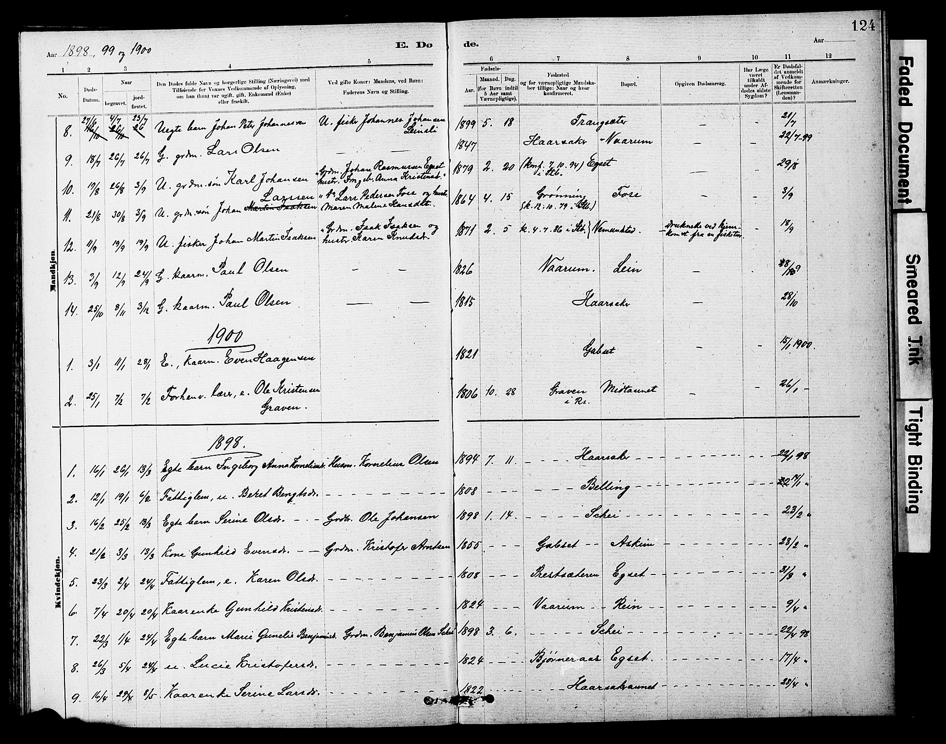 Ministerialprotokoller, klokkerbøker og fødselsregistre - Sør-Trøndelag, AV/SAT-A-1456/646/L0628: Parish register (copy) no. 646C01, 1880-1903, p. 124