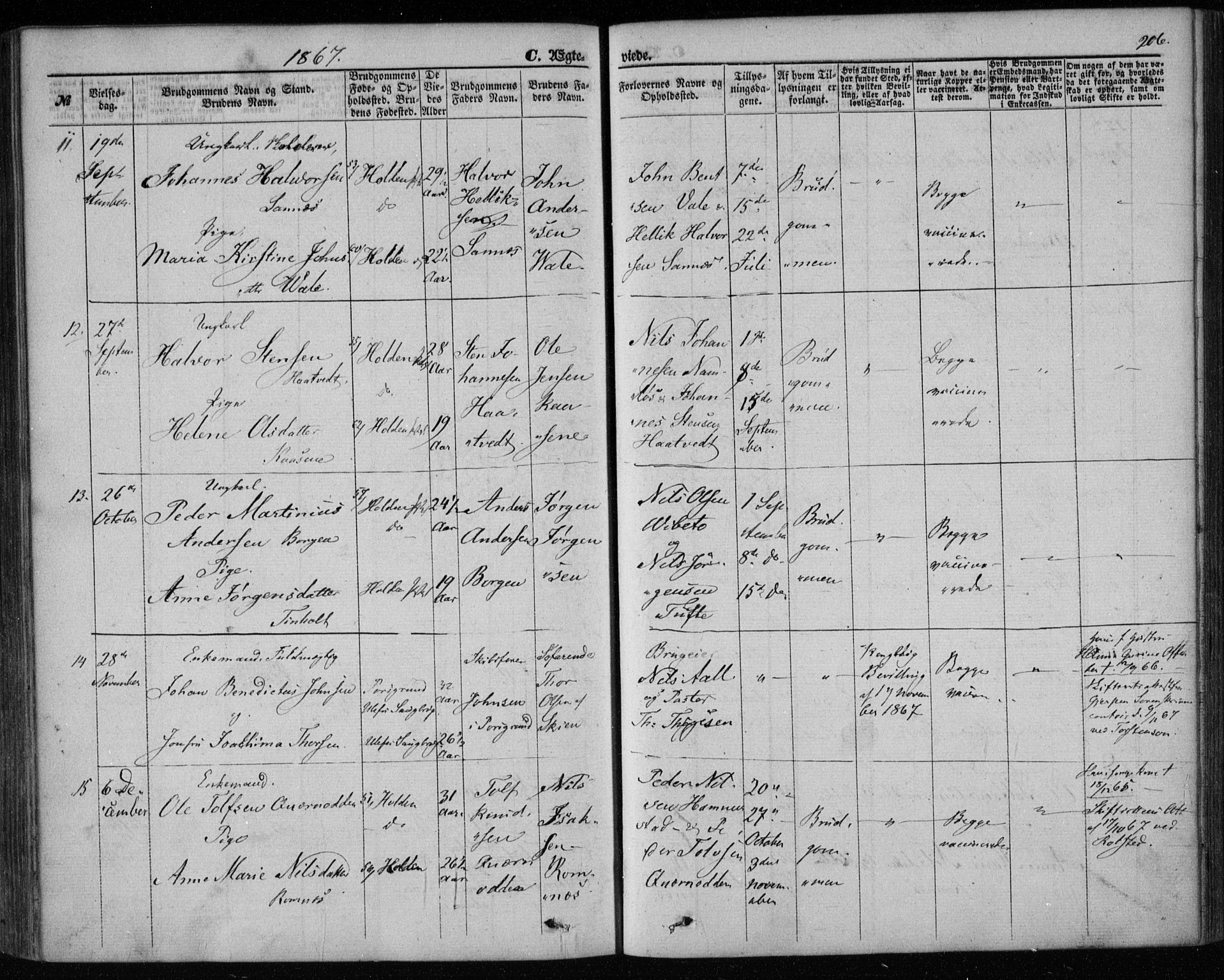 Holla kirkebøker, AV/SAKO-A-272/F/Fa/L0006: Parish register (official) no. 6, 1861-1869, p. 206