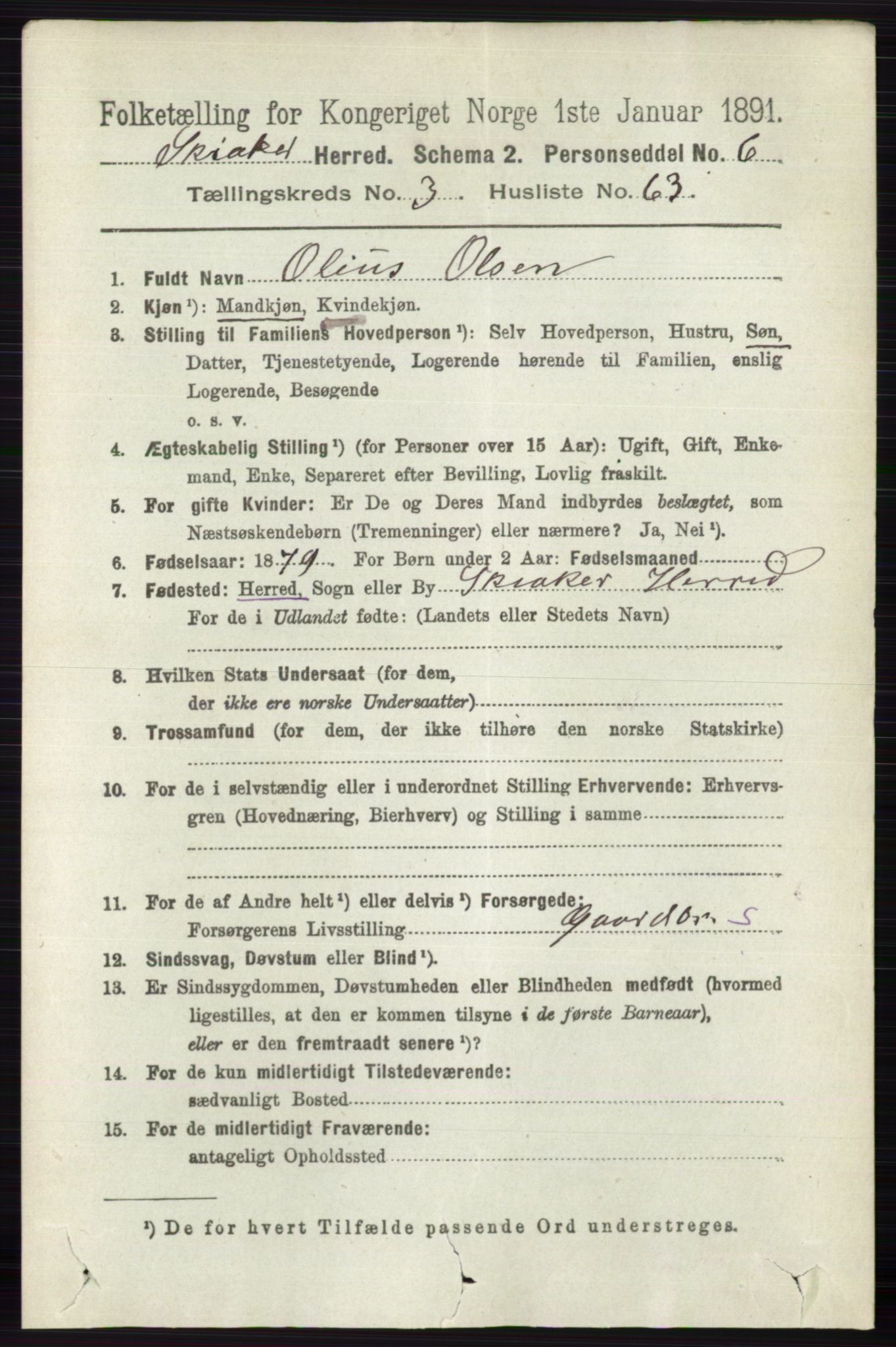 RA, 1891 census for 0513 Skjåk, 1891, p. 1291