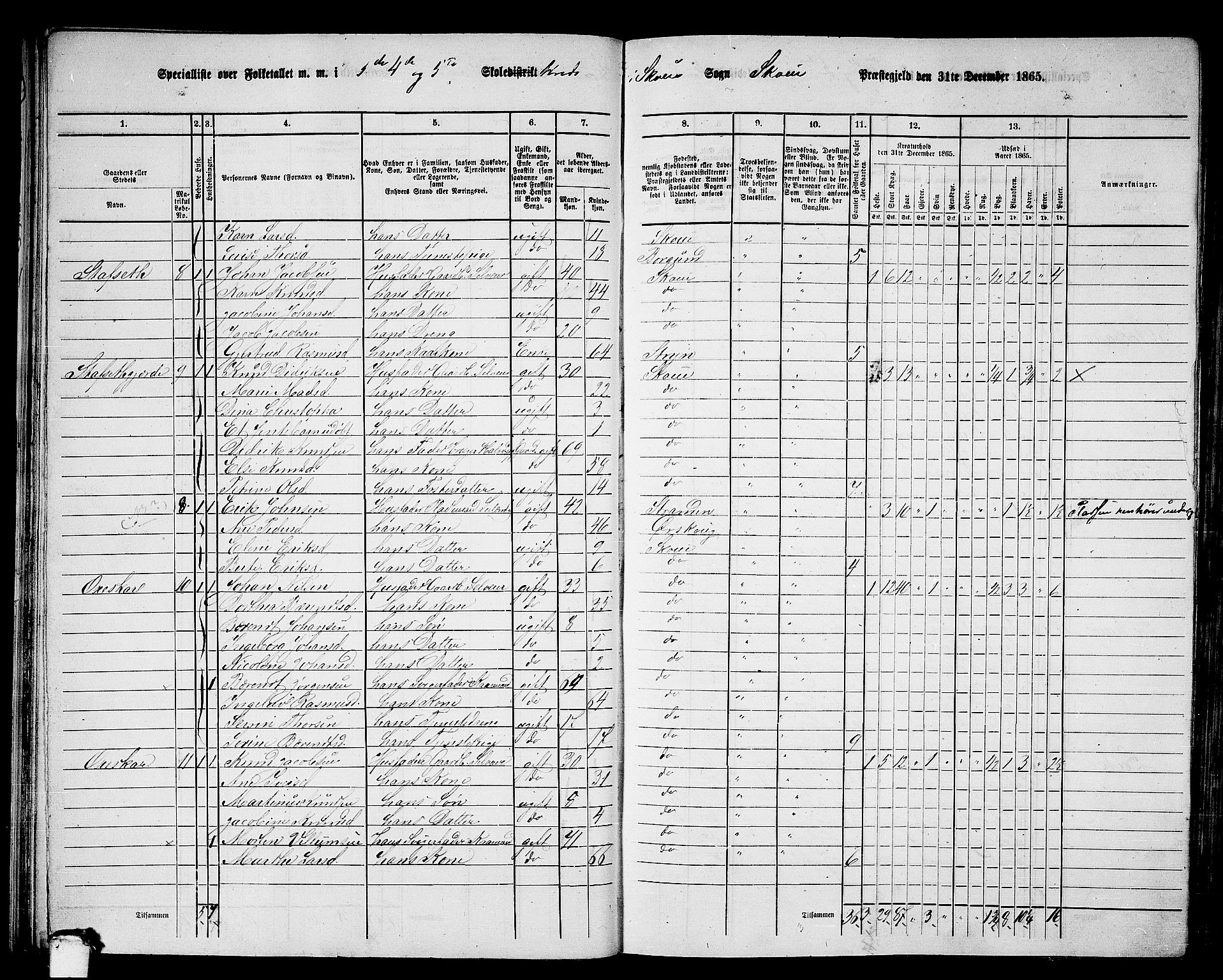 RA, 1865 census for Skodje, 1865, p. 36